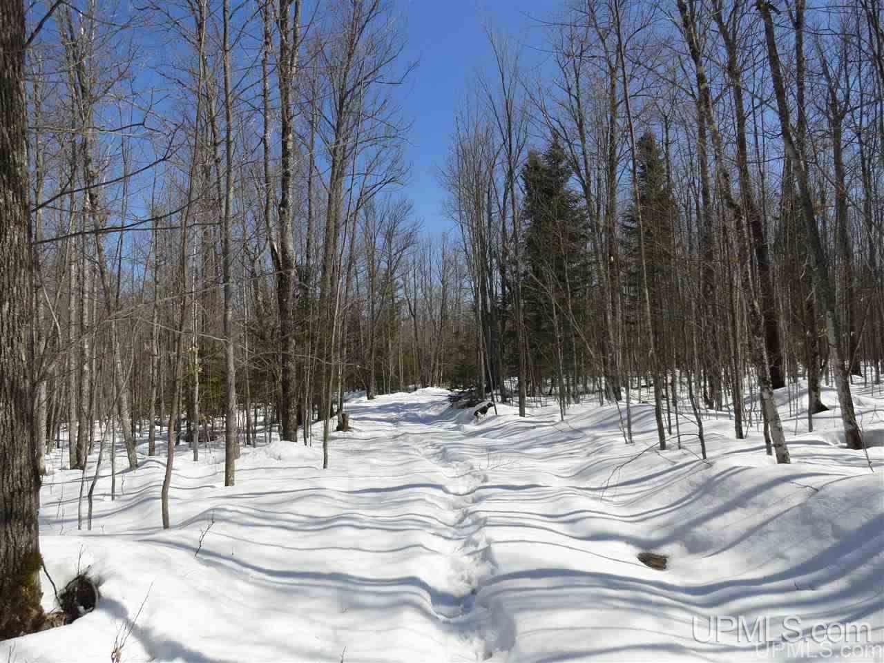 240-acres Leek Road Covington, MI 49919 - Photo 17 of 50