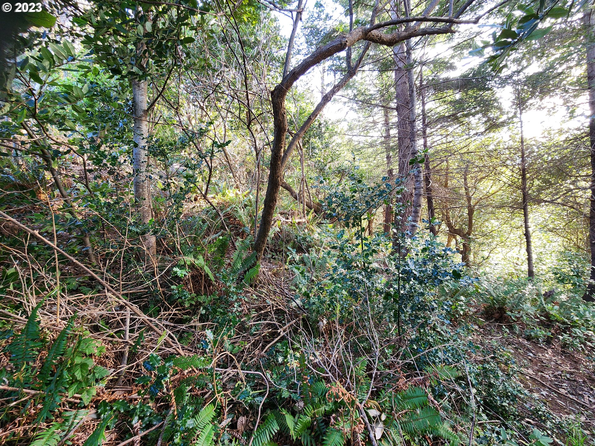 Gauntlett Street Gold Beach, OR 97444 - Photo 13 of 14 Gallery Image 13