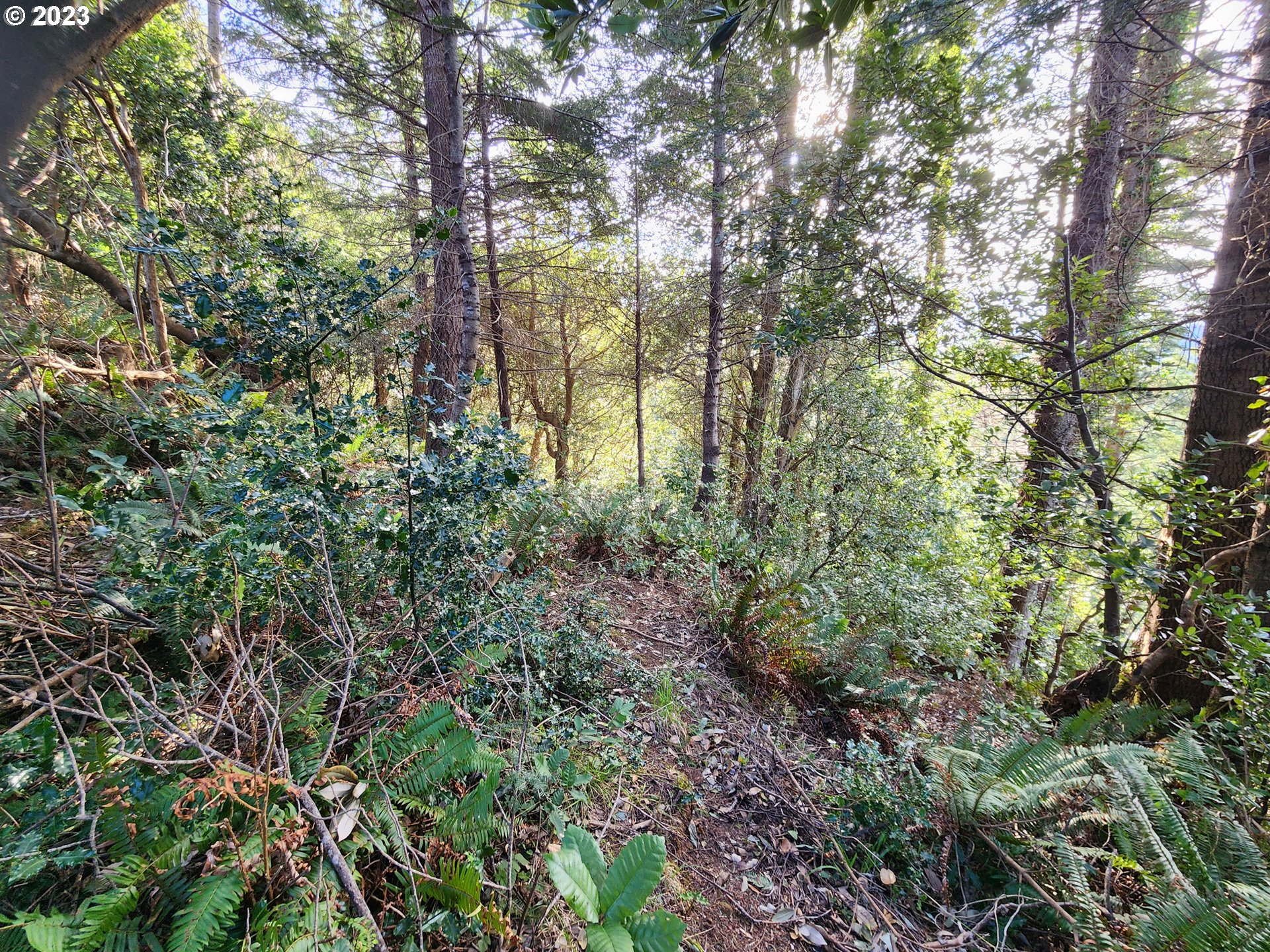 Gauntlett Street Gold Beach, OR 97444 - Photo 6 of 14 Gallery Image 6