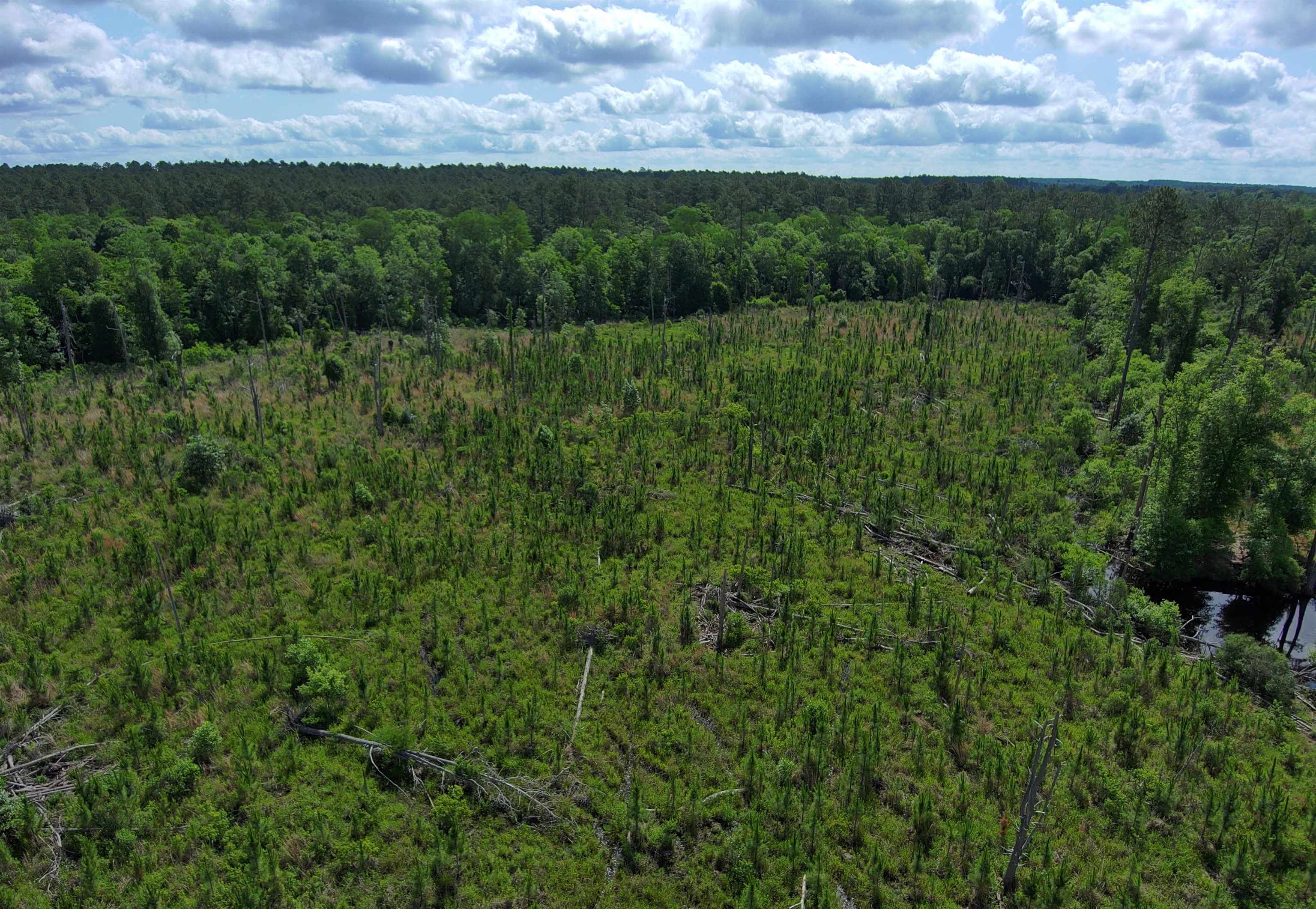 87 County Road 87 Elberta, AL 36530 - Photo 33 of 66