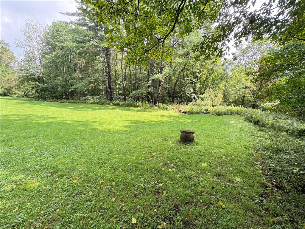 157 Howe Lane Afton, NY 13730 - Photo 4 of 40 Gallery Image 4