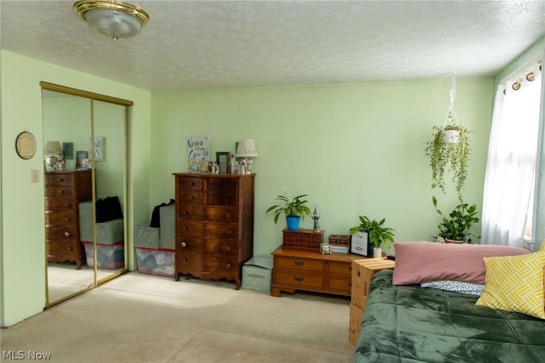 5467 Chapel Road Madison, OH 44057 - Photo 33 of 50 Spacious room featuring light green walls and neutral carpeting