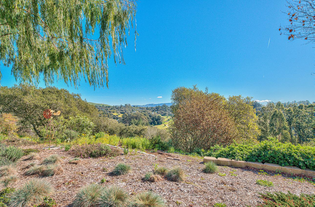 18401 Moro Road Salinas, CA 93907 - Photo 3 of 39 a view of a dry yard with trees in the background