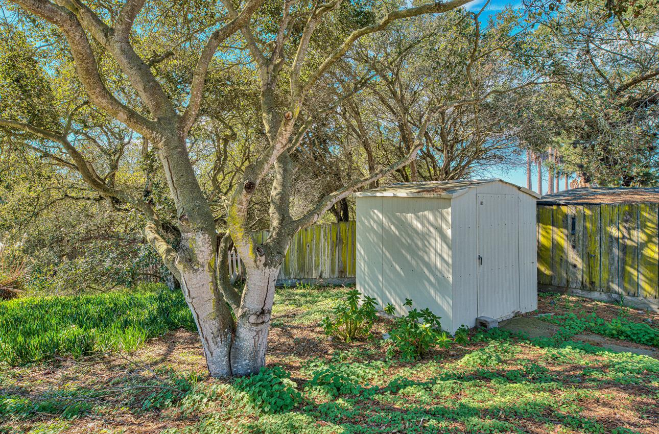 18401 Moro Road Salinas, CA 93907 - Photo 39 of 39 a view of a backyard