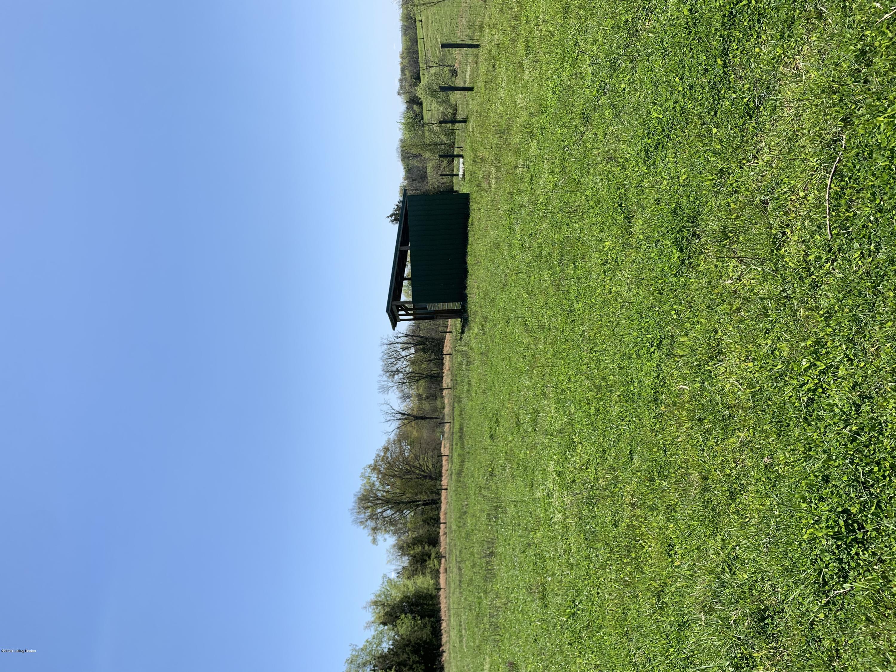 Lot #2 Irish Ridge Road Bardstown, KY 40004 - Photo 45 of 47 RUN IN SHELTER (6)