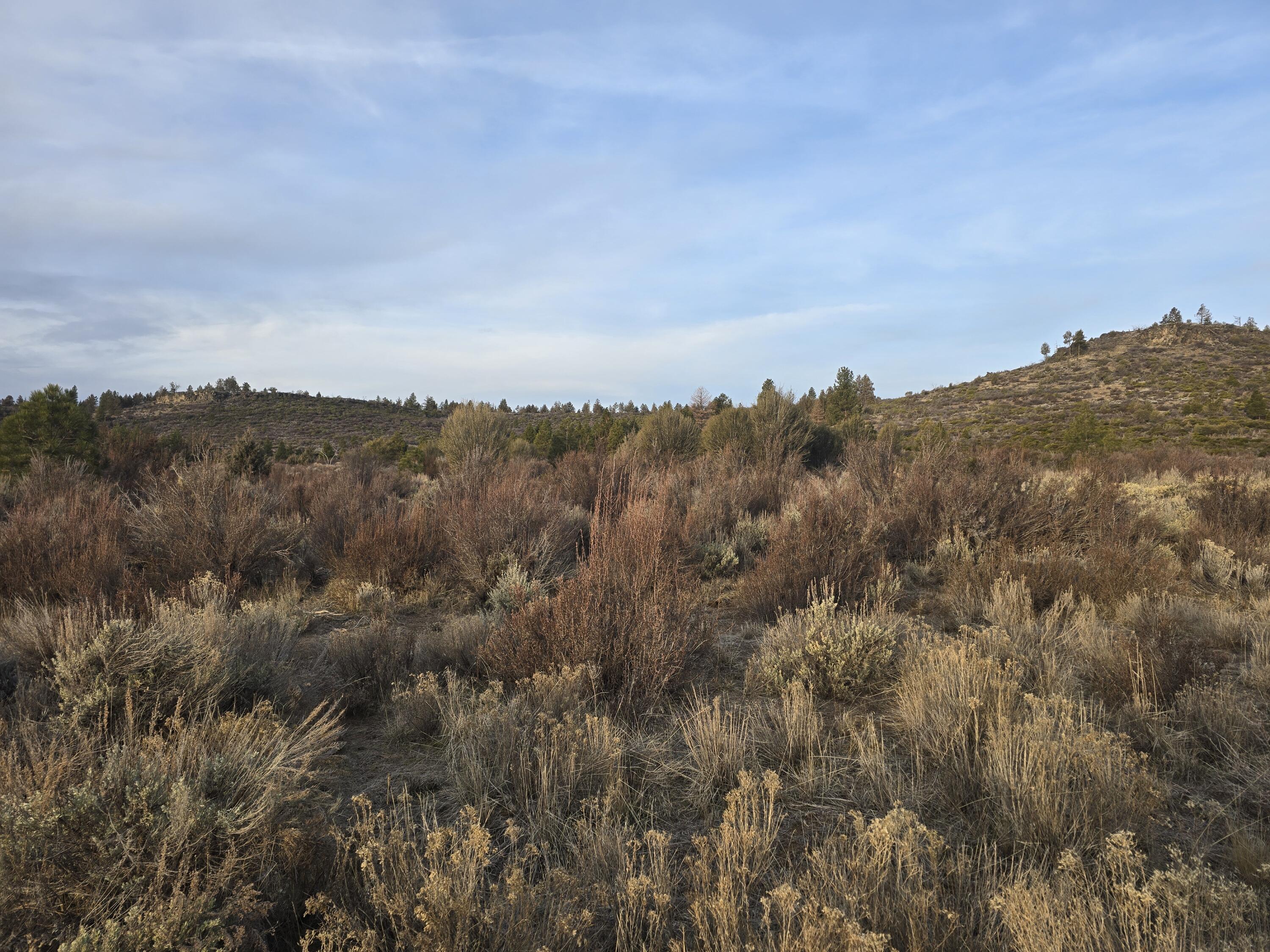 0 Tableland Road, Unit 24002500 Chiloquin, OR 97624 - Photo 1 of 9 a view of a bunch of trees in the background