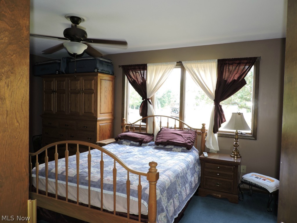 42165 Butternut Ridge Road Elyria, OH 44035 - Photo 5 of 20 Master bedroom
