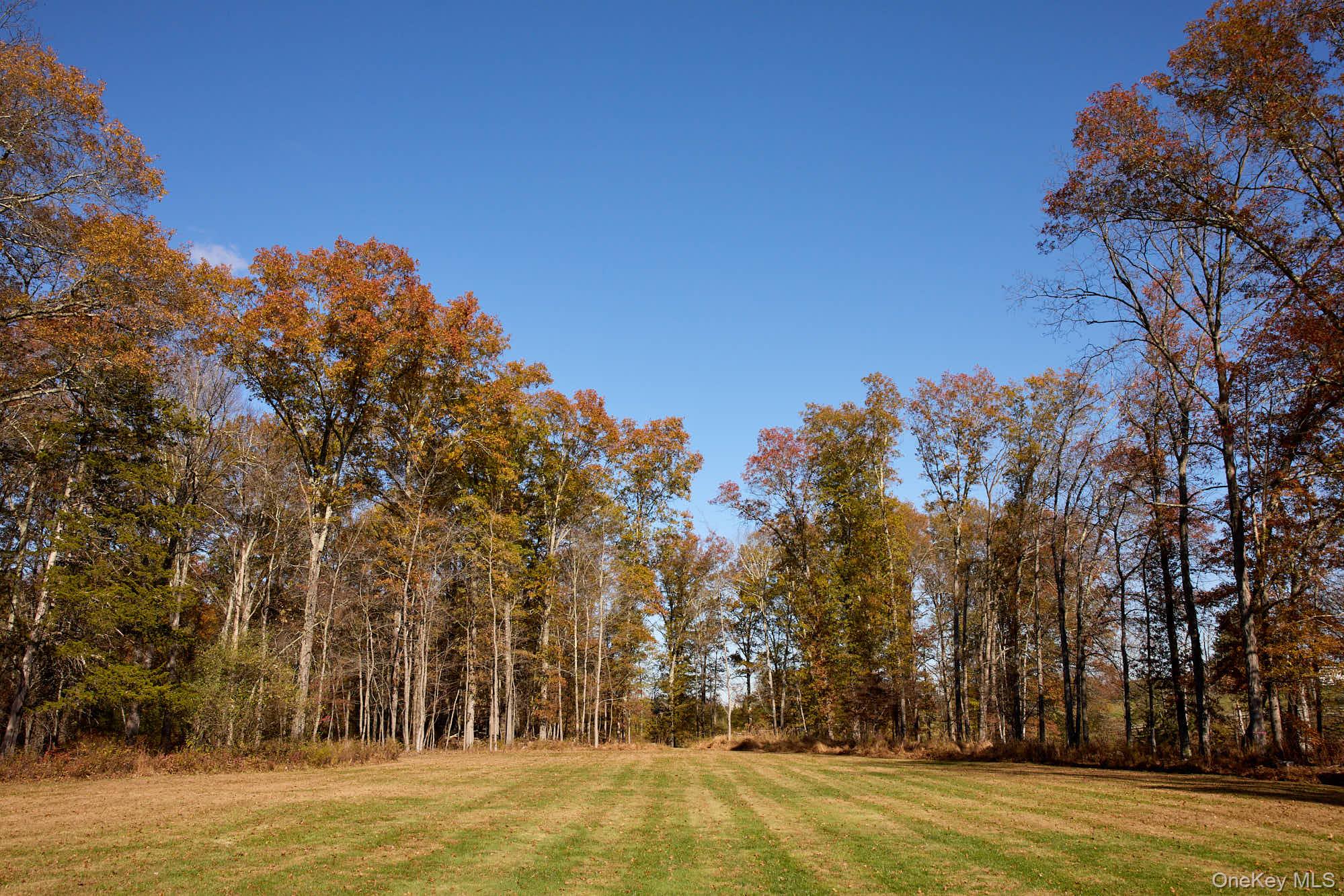 2917 Rte 44 55 Gardiner, NY 12525 - Photo 31 of 33 a view of a large yard