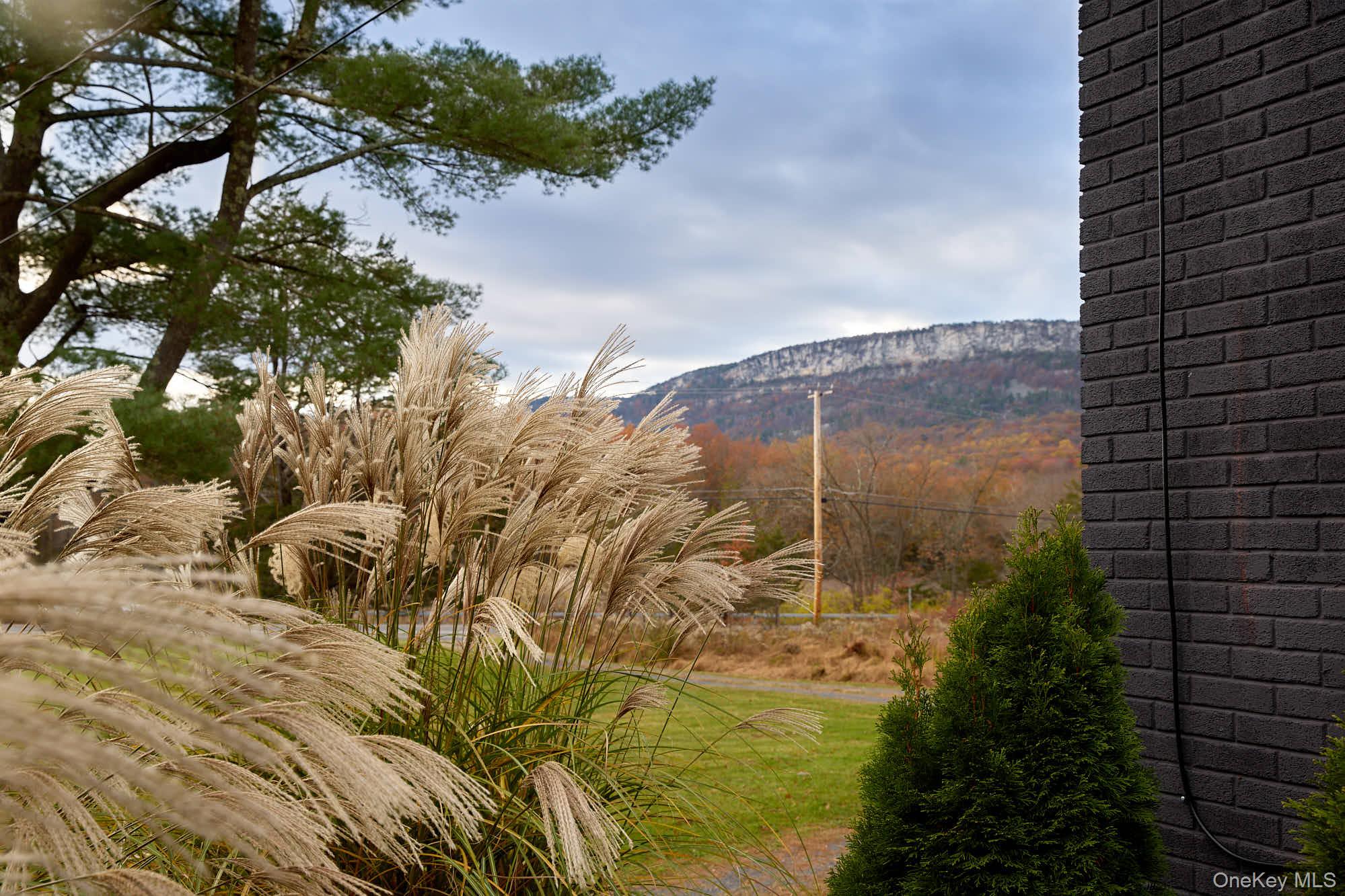 2917 Rte 44 55 Gardiner, NY 12525 - Photo 5 of 33 a view of lake