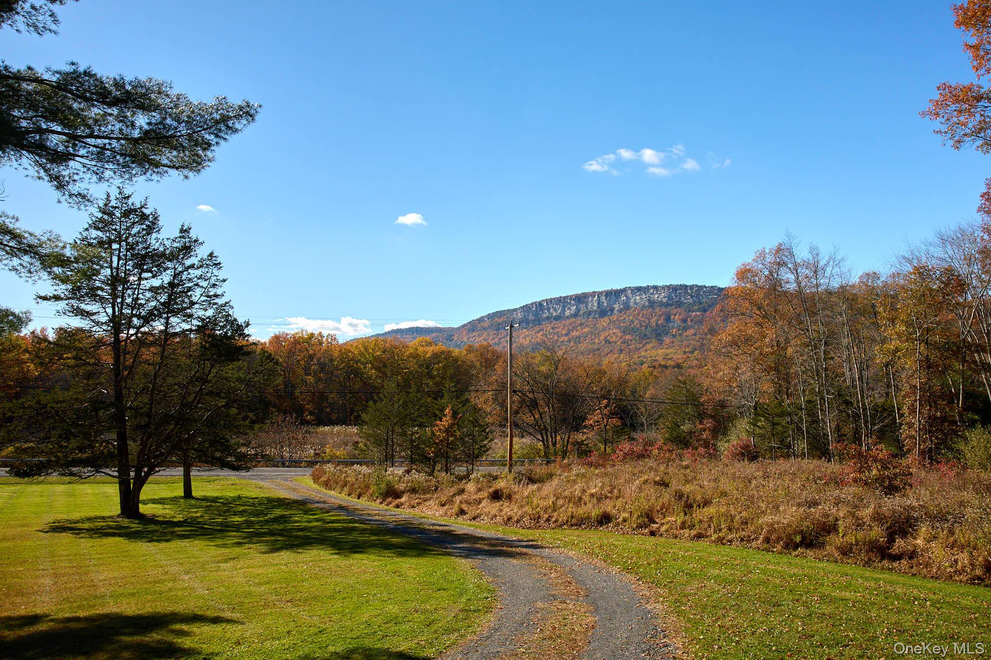 2917 Rte 44 55 Gardiner, NY 12525 - Photo 6 of 33 a view of a town with mountains in the background