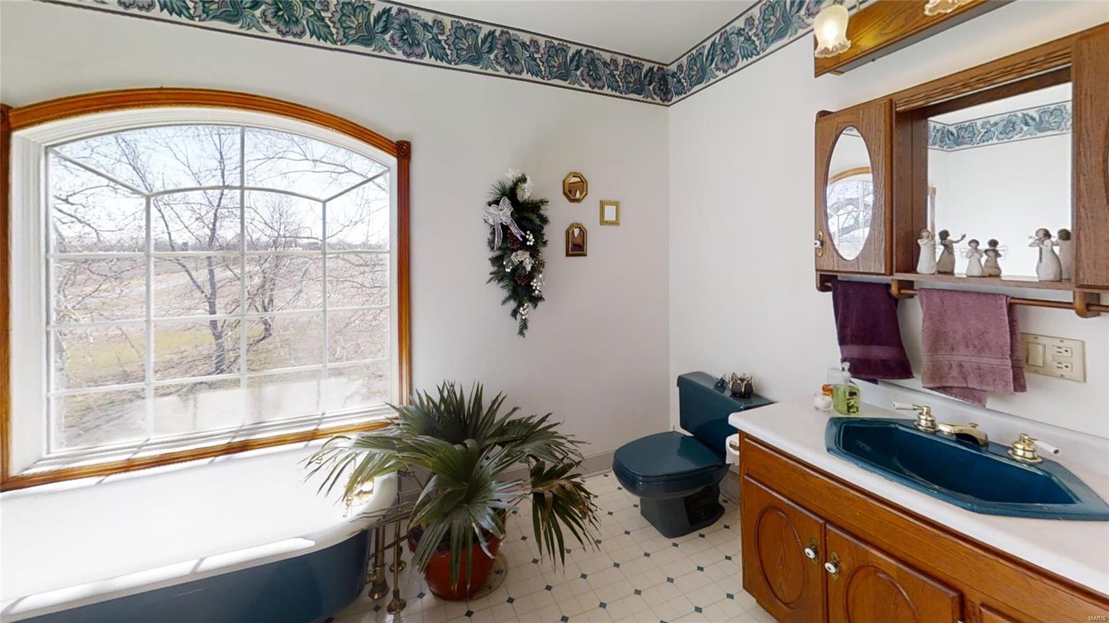 17229 Diamond Springs Road Carlyle, IL 62231 - Photo 10 of 59