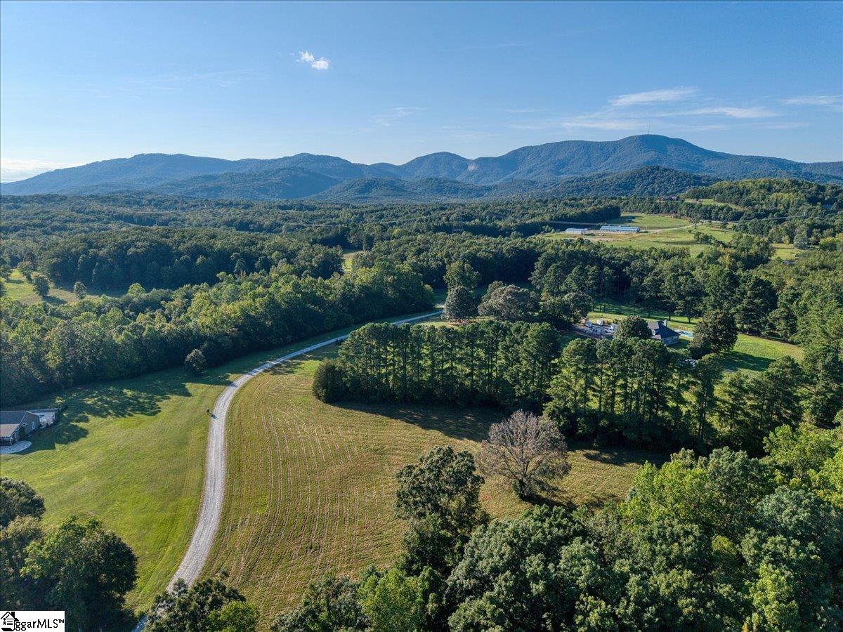 54 Stone Cottage Lane Landrum, SC 29356 - Photo 2 of 6