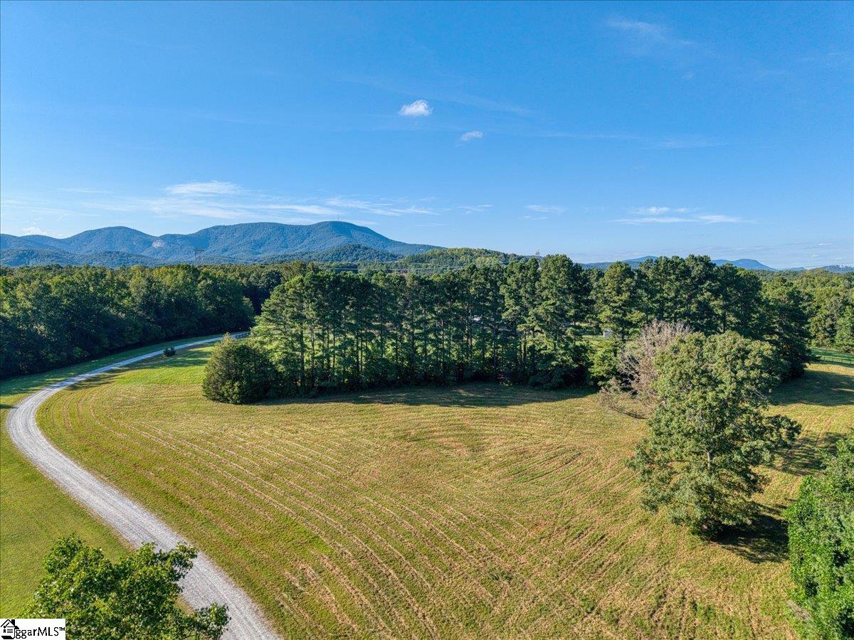 54 Stone Cottage Lane Landrum, SC 29356 - Photo 3 of 6