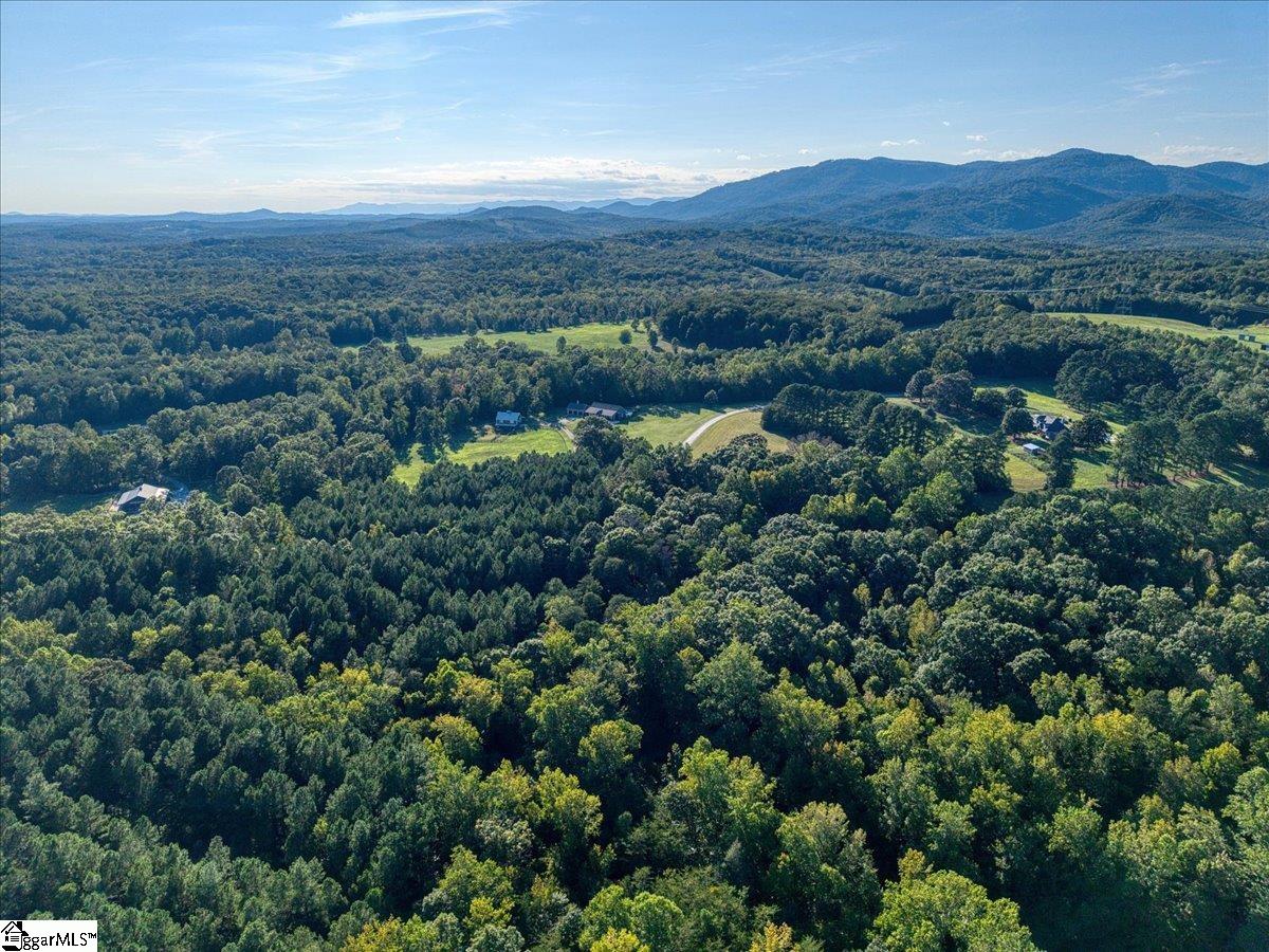 54 Stone Cottage Lane Landrum, SC 29356 - Photo 4 of 6