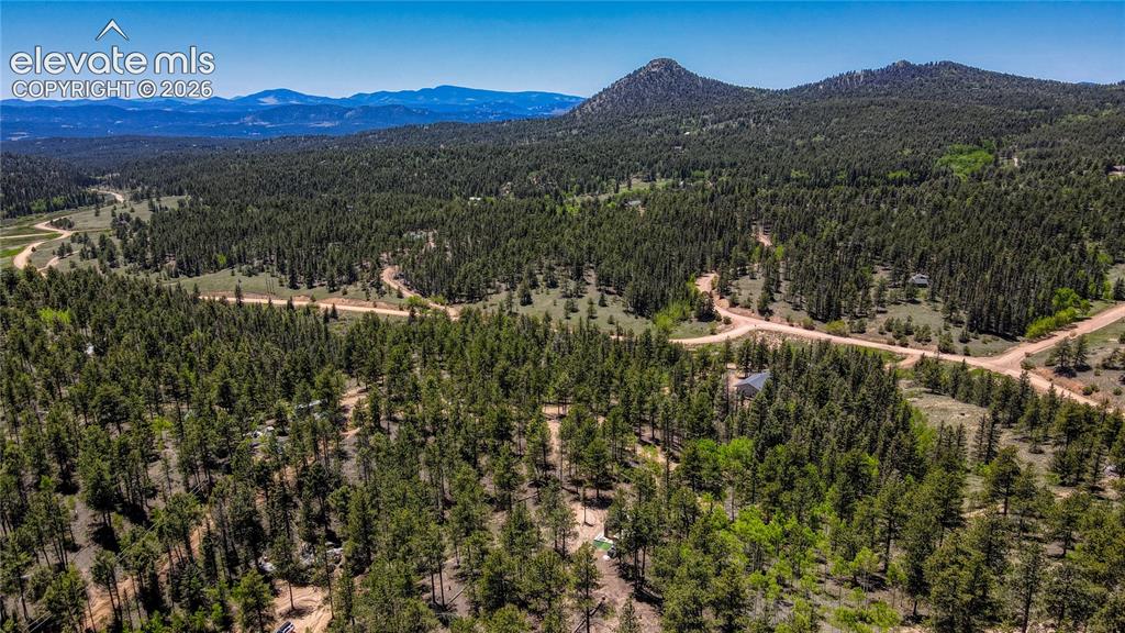 2927 Pathfinder Road Florissant, CO 80816 - Photo 34 of 37