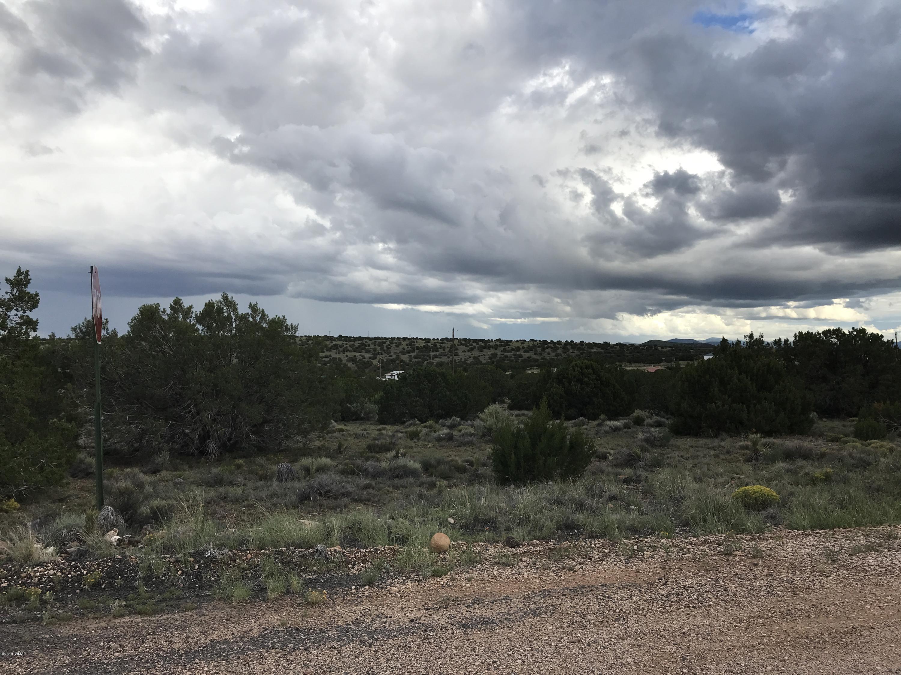 1 Unit, Unit 1 Concho, AZ 85924 - Photo 2 of 3