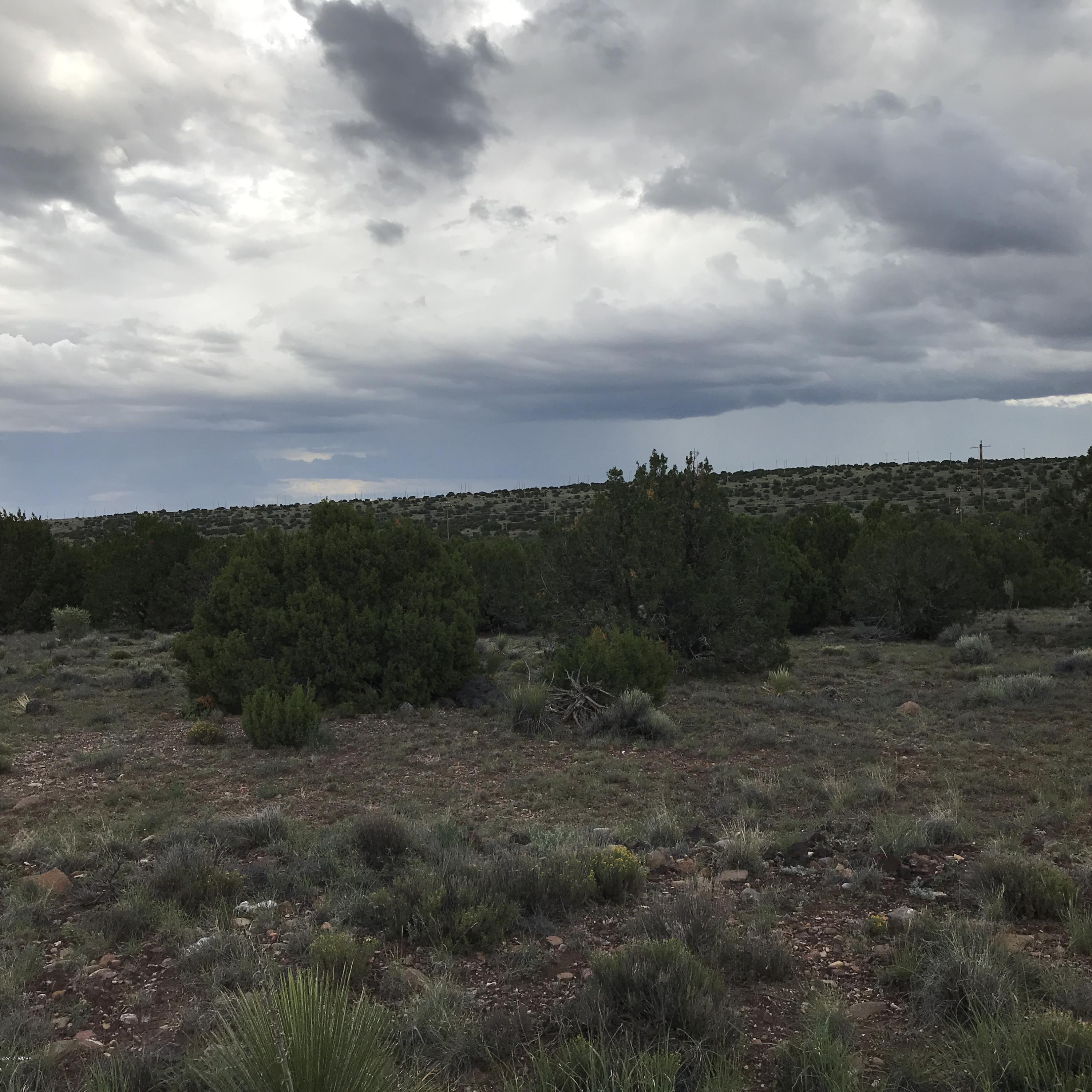1 Unit, Unit 1 Concho, AZ 85924 - Photo 3 of 3