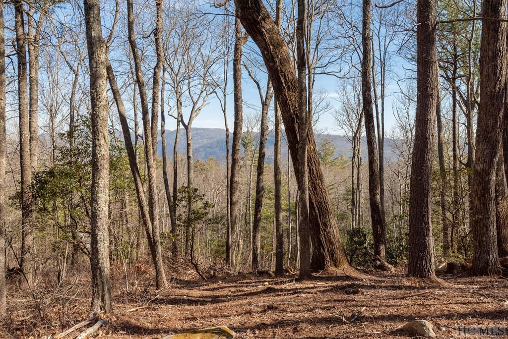 Lot 32 East Ridge Road Cashiers, NC 28717 - Photo 7 of 19 Gallery Image 7