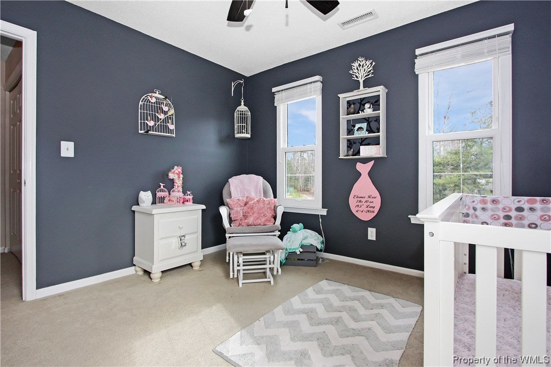 3944 Longhill Station Road Williamsburg, VA 23188 - Photo 22 of 32 Gallery Image 22