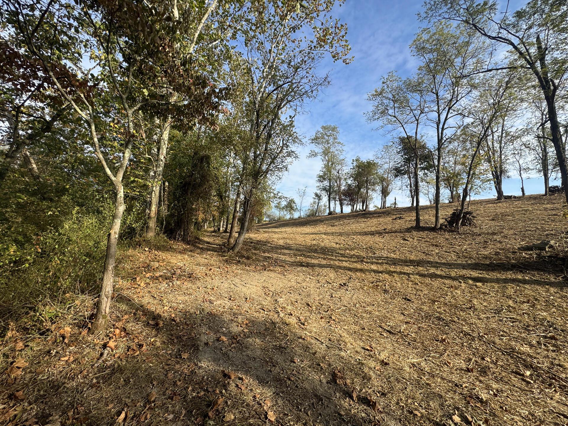 413 Gallipolis Road, Unit CLEARVIEW POND) Oak Hill, OH 45656 - Photo 59 of 88 CT-59
