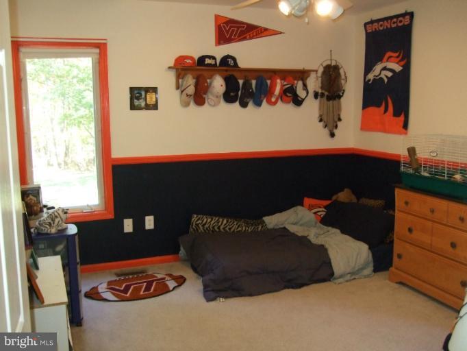 1490 Feltner Road Bluemont, VA 20135 - Photo 16 of 30 Bedroom
