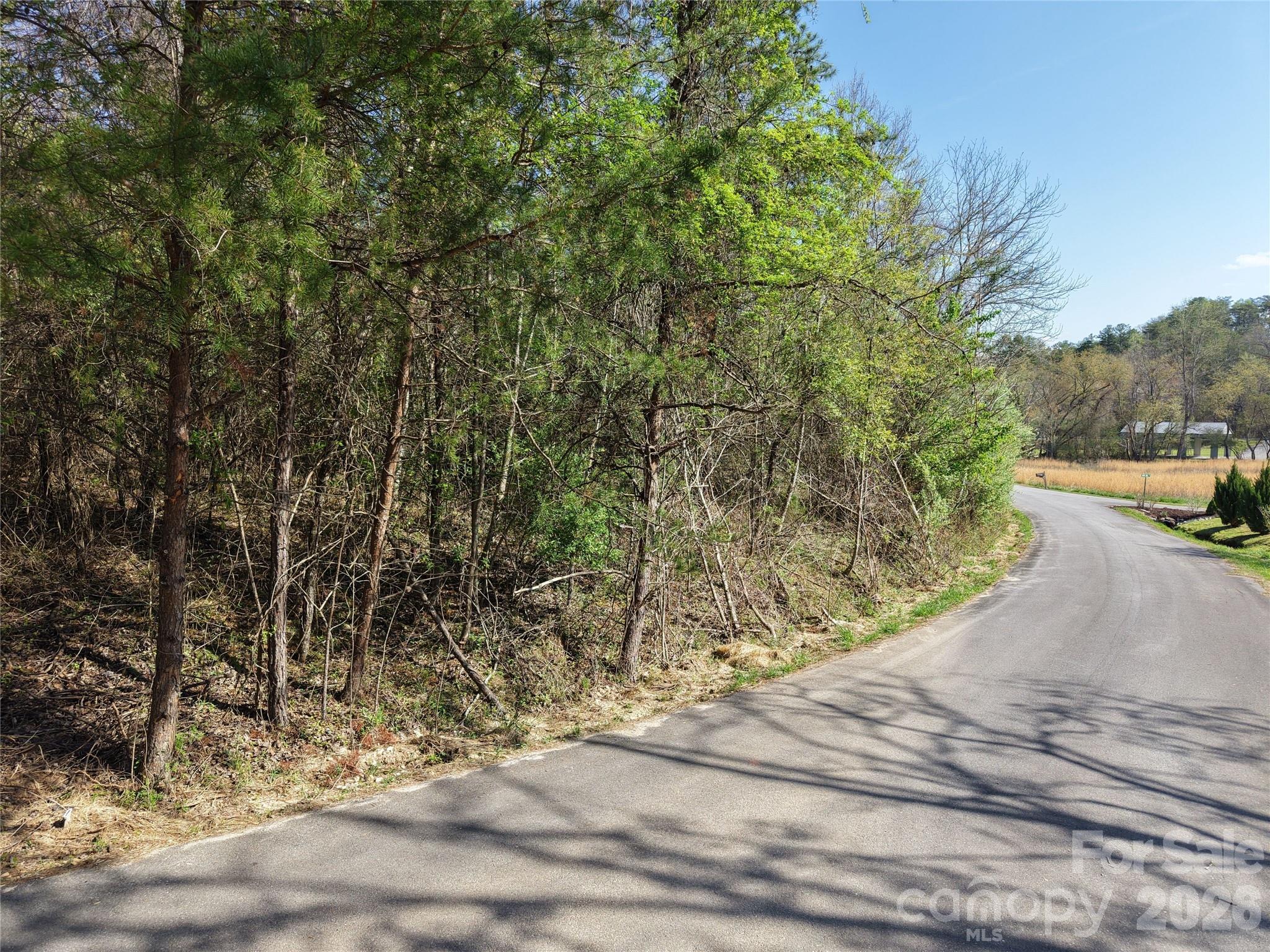 0 Coker Road Hayesville, NC 28904 - Photo 11 of 15 a view of a street view