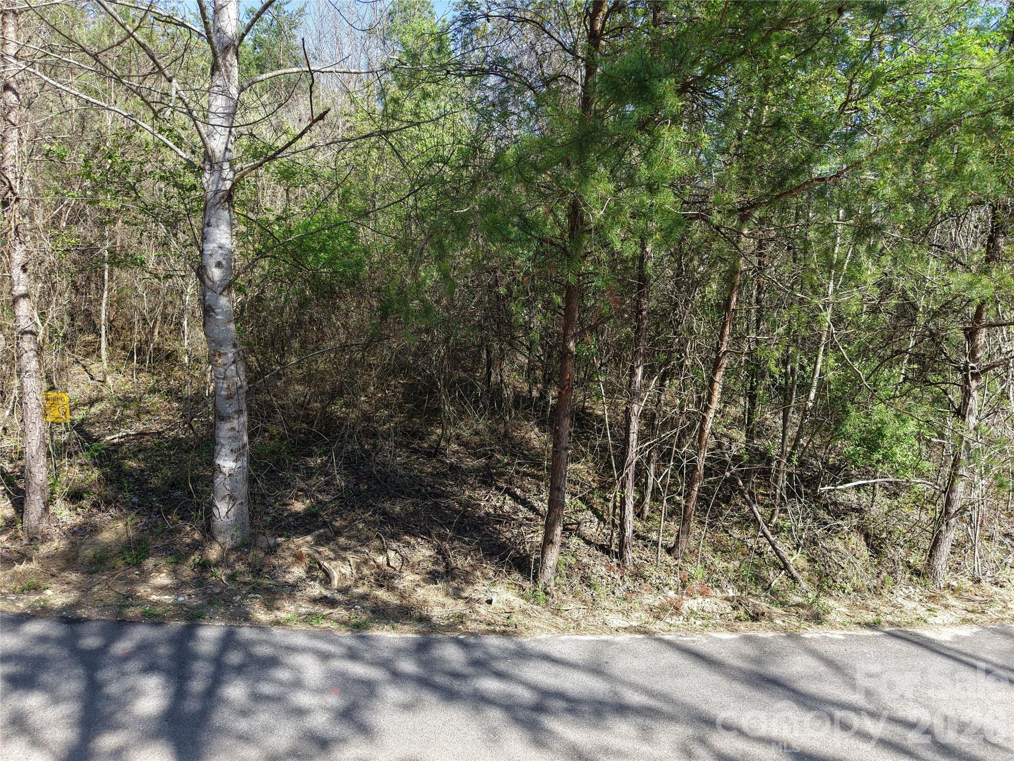 0 Coker Road Hayesville, NC 28904 - Photo 12 of 15 a view of a yard with large trees