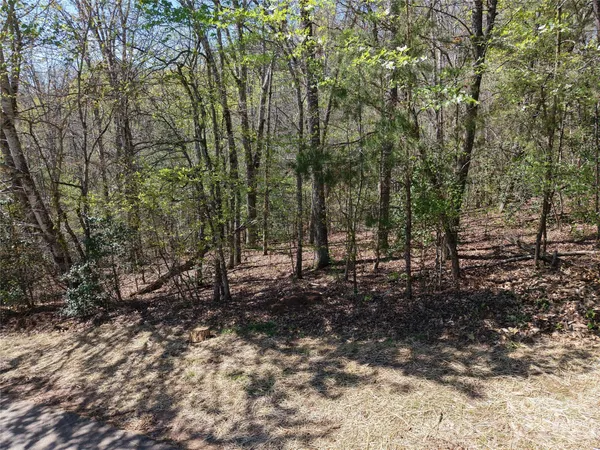 a view of a forest with trees
