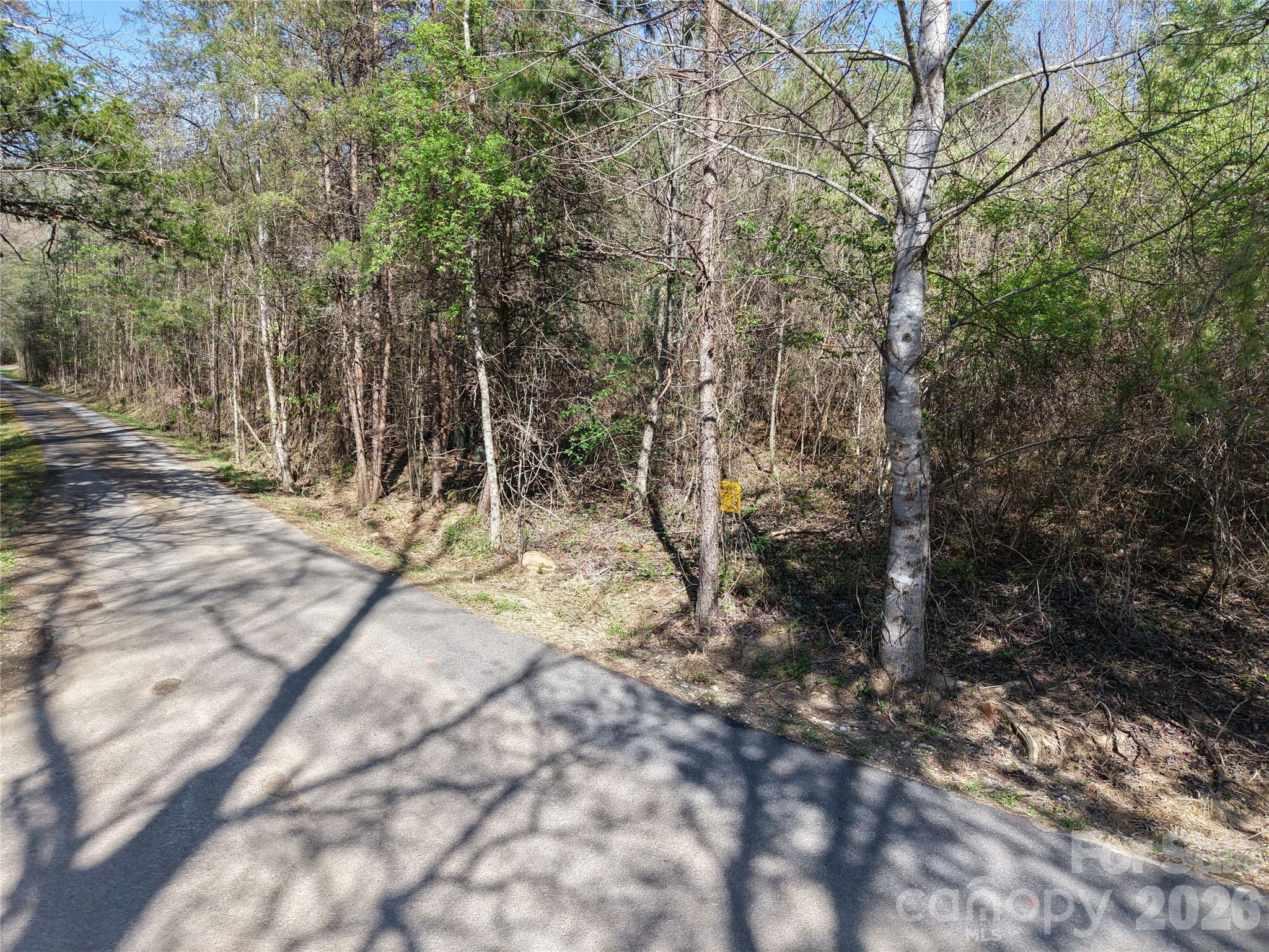 0 Coker Road Hayesville, NC 28904 - Photo 15 of 15 a view of a forest with trees