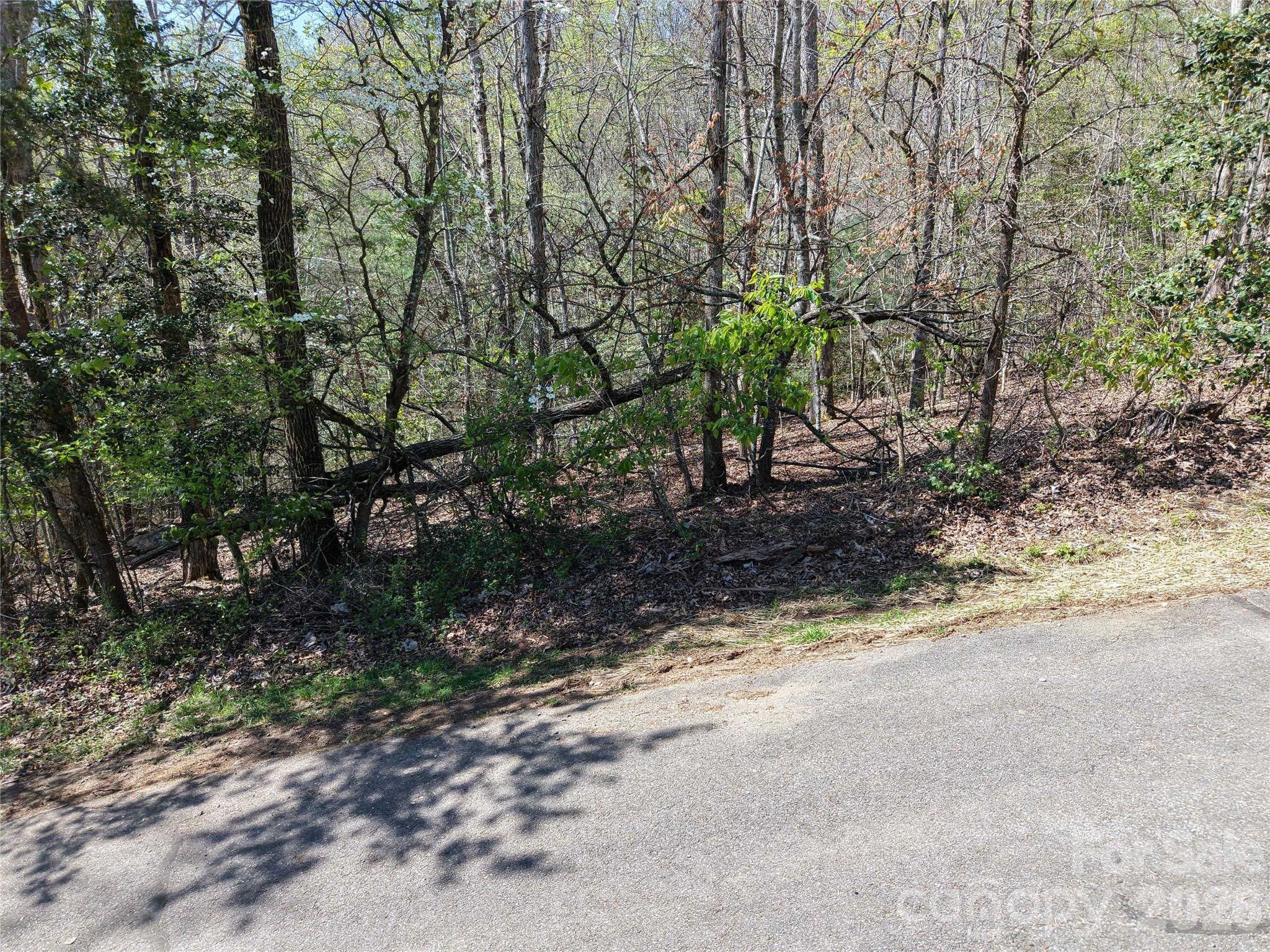 0 Coker Road Hayesville, NC 28904 - Photo 6 of 15 a view of a yard with a tree