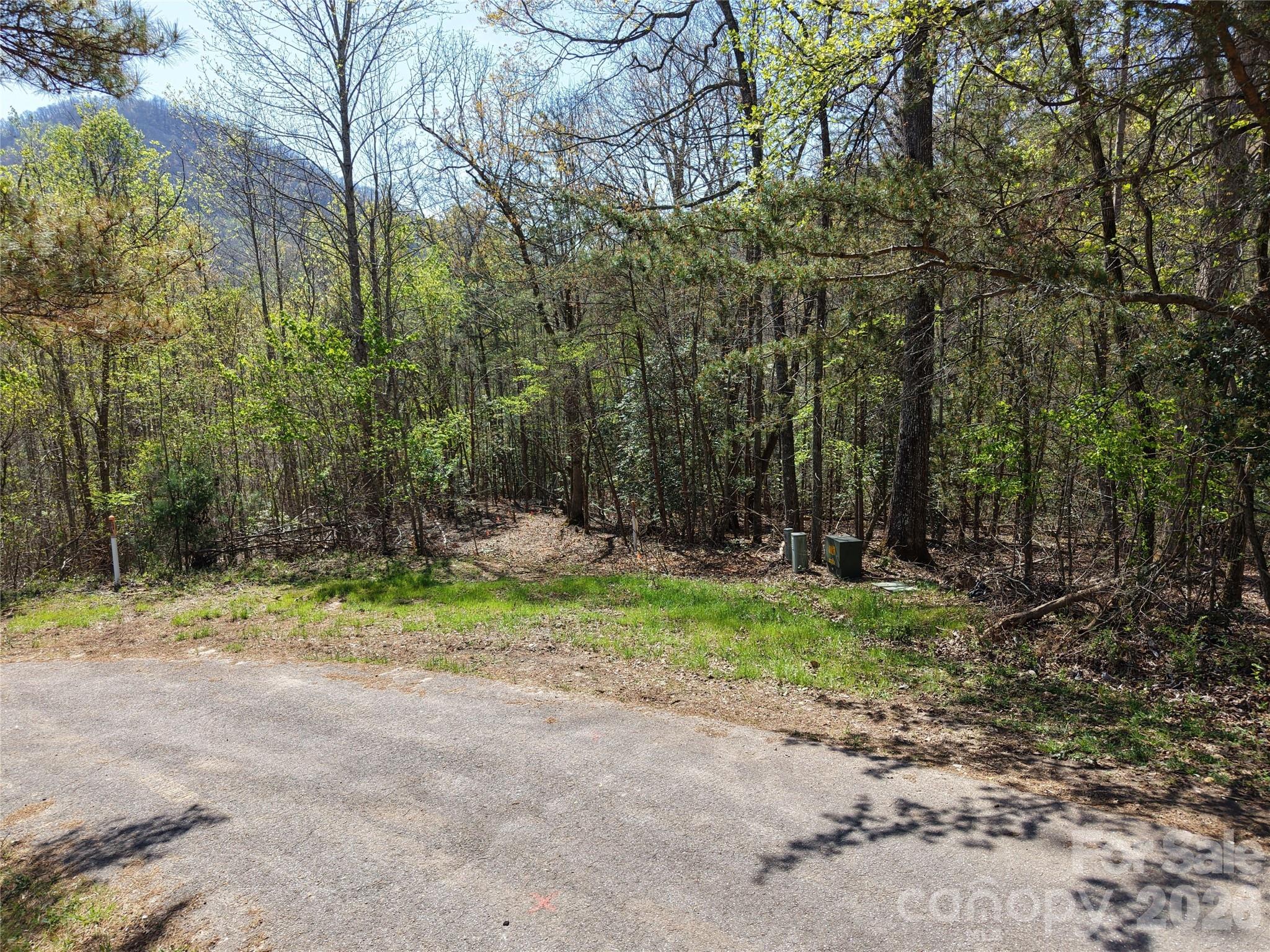 0 Coker Road Hayesville, NC 28904 - Photo 7 of 15 a backyard of a house with trees and plants