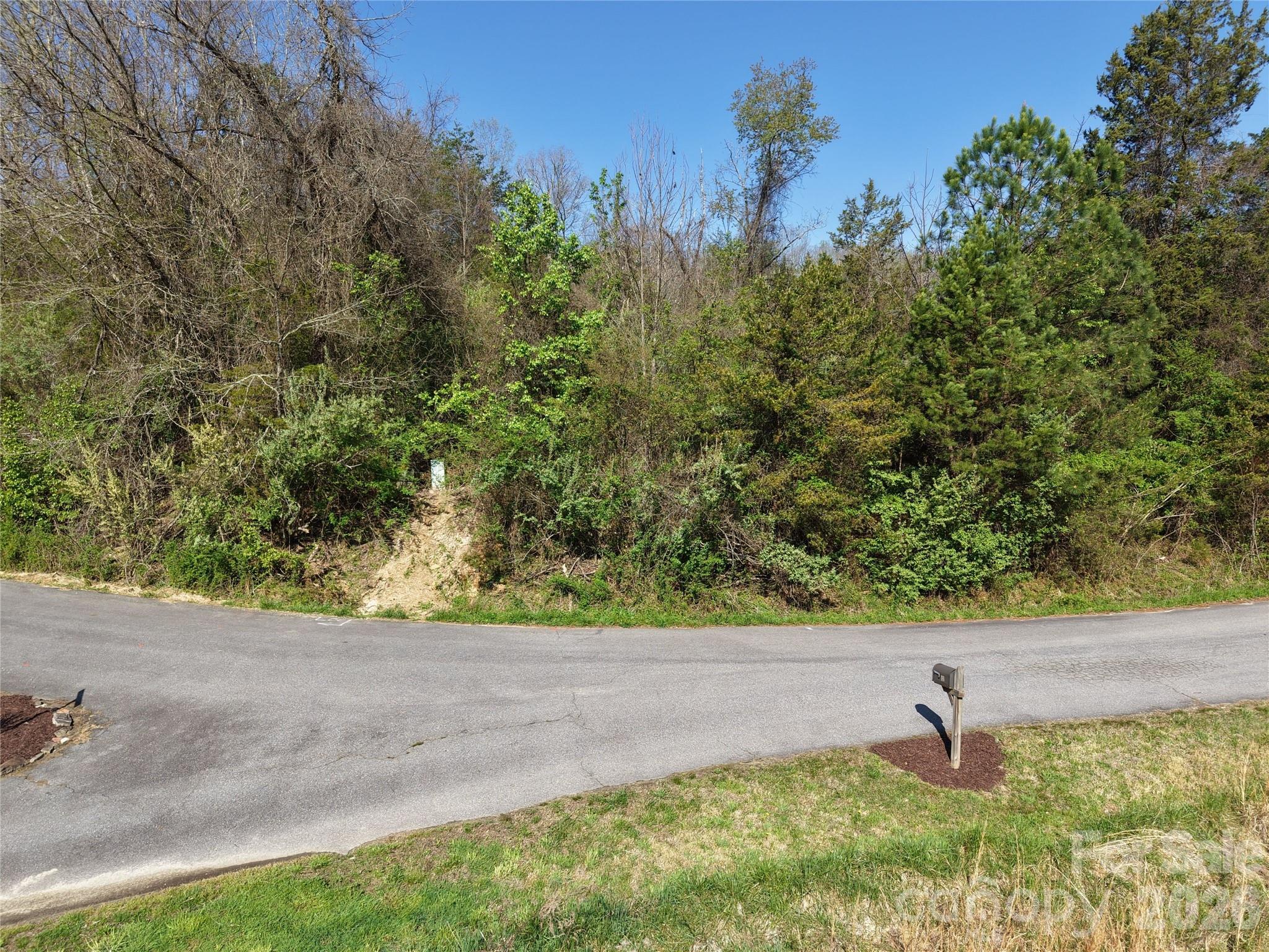 0 Coker Road Hayesville, NC 28904 - Photo 10 of 15 a view of a yard