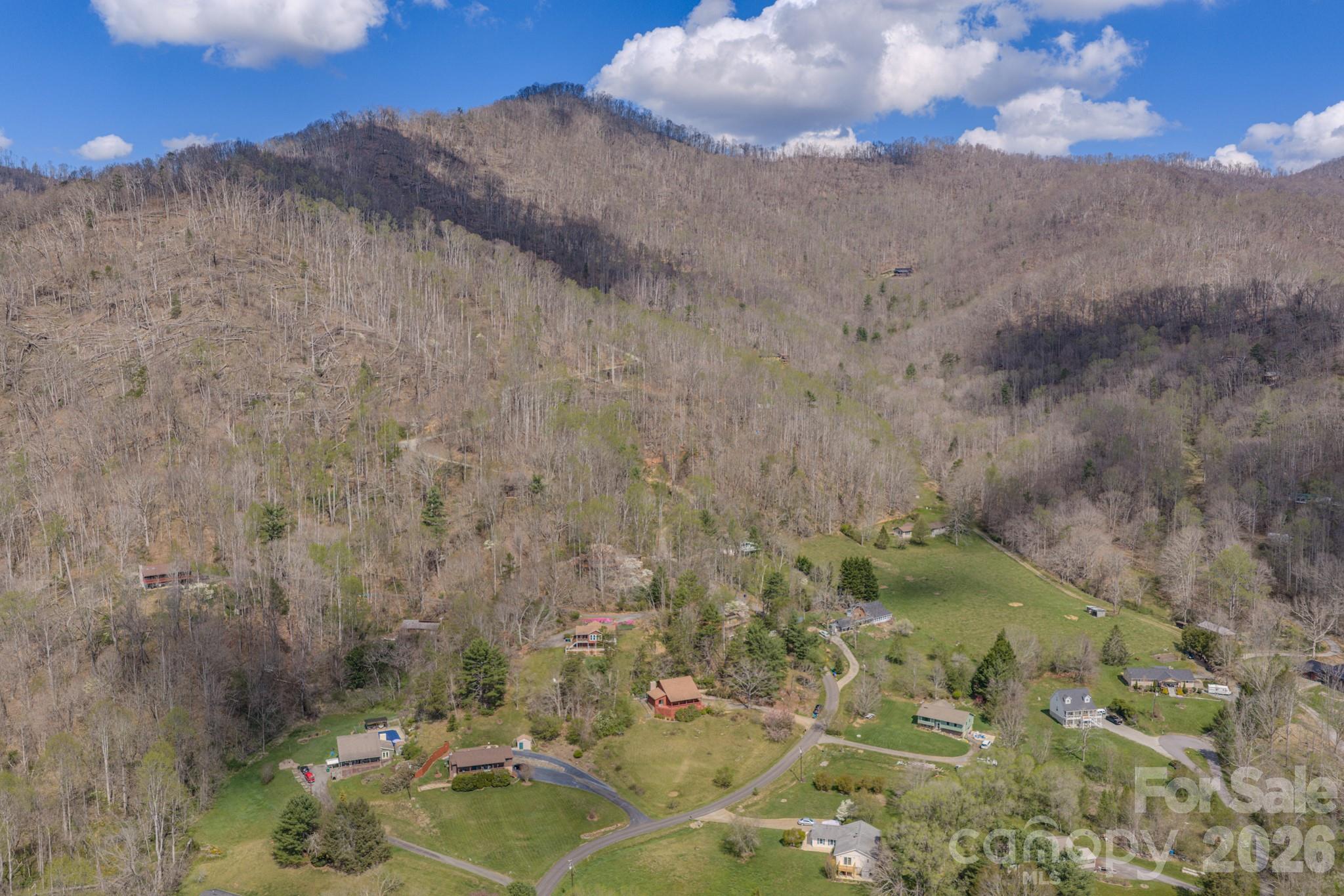 42 Camelfield Road Weaverville, NC 28787 - Photo 32 of 48