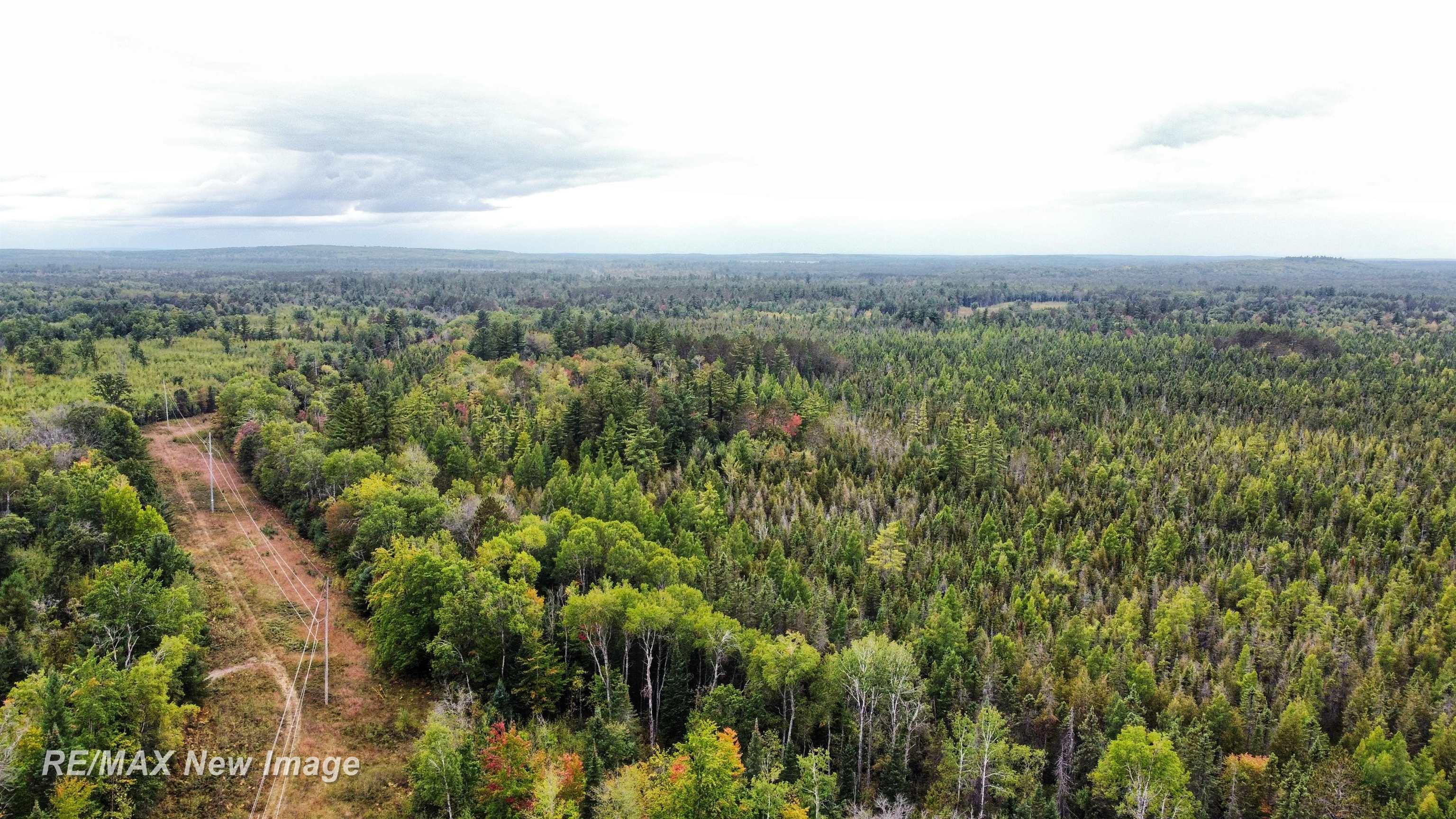 Maybee Road West Branch, MI 48661 - Photo 23 of 32 Gallery Image 23