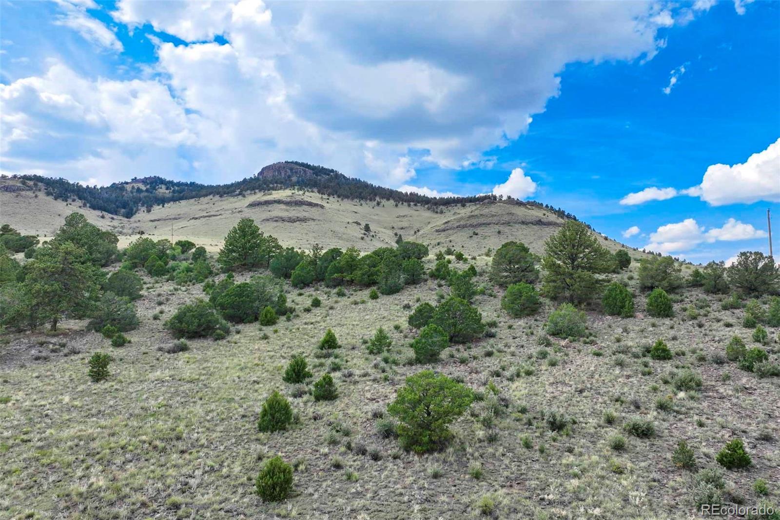 0 Witcher Mountain Road Guffey, CO 80820 - Photo 11 of 50