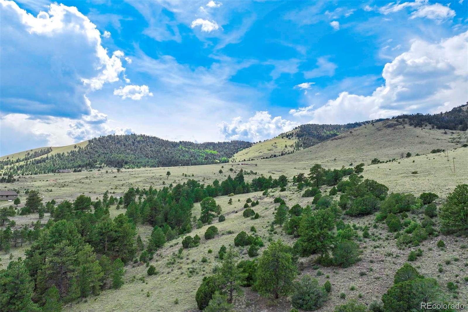 0 Witcher Mountain Road Guffey, CO 80820 - Photo 12 of 50