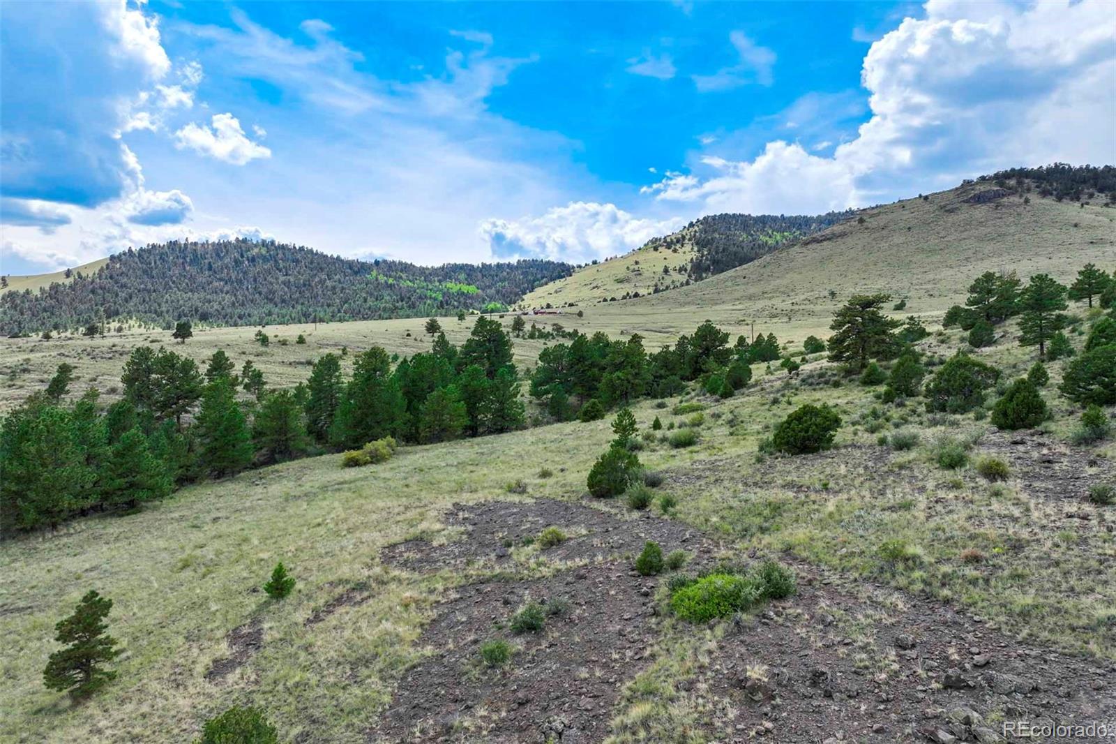 0 Witcher Mountain Road Guffey, CO 80820 - Photo 16 of 50