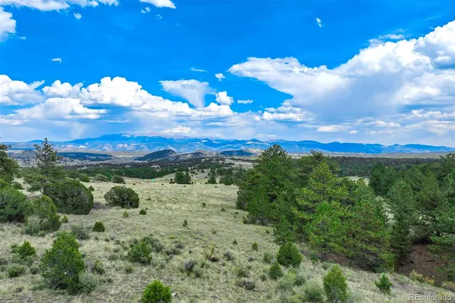 a view of a city with lots of flower garden