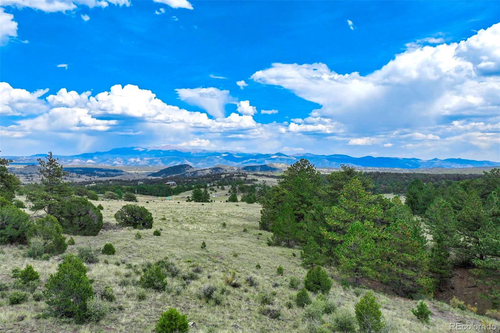 0 Witcher Mountain Road Guffey, CO 80820 - Photo 18 of 50