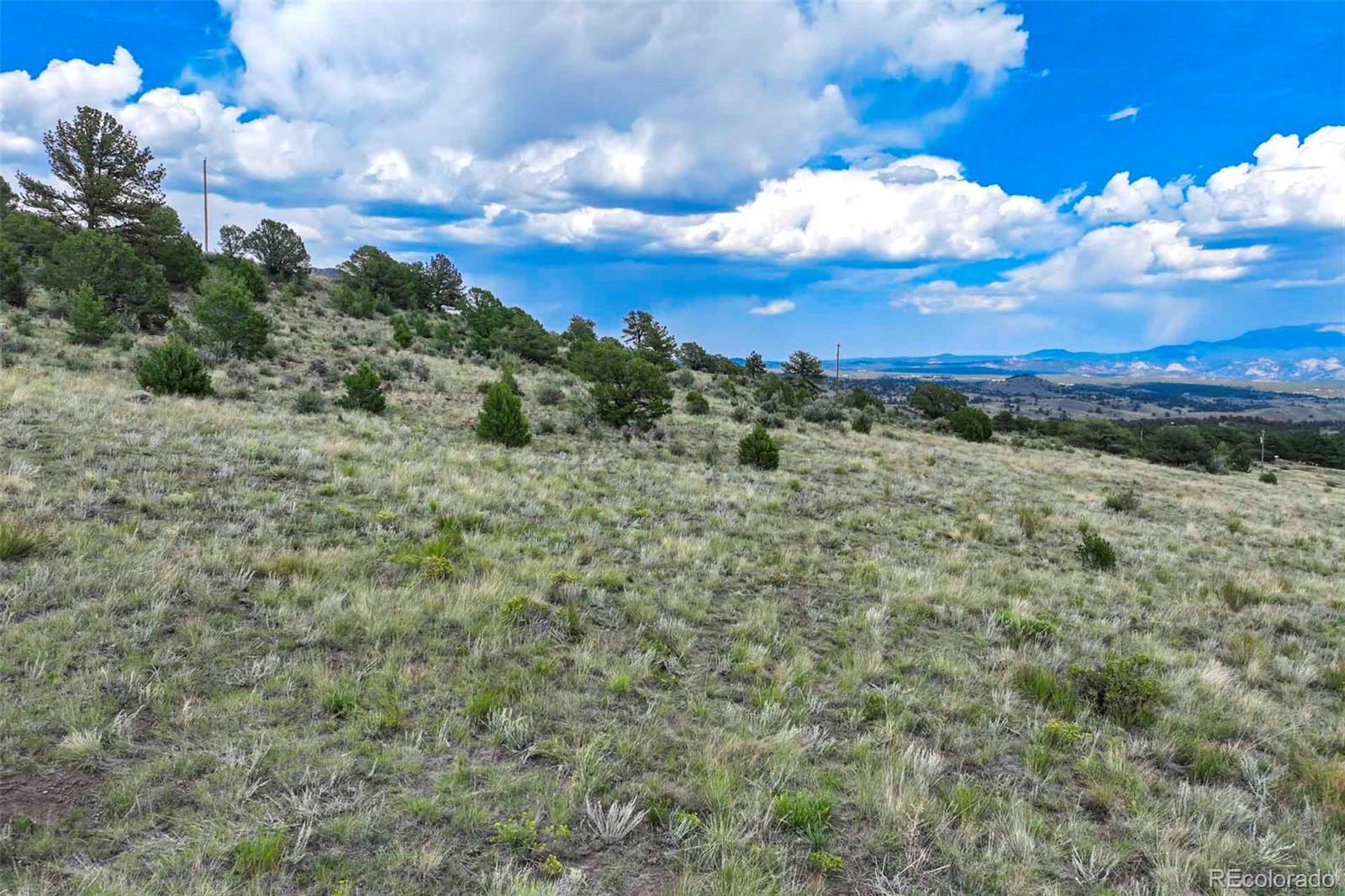 0 Witcher Mountain Road Guffey, CO 80820 - Photo 20 of 50