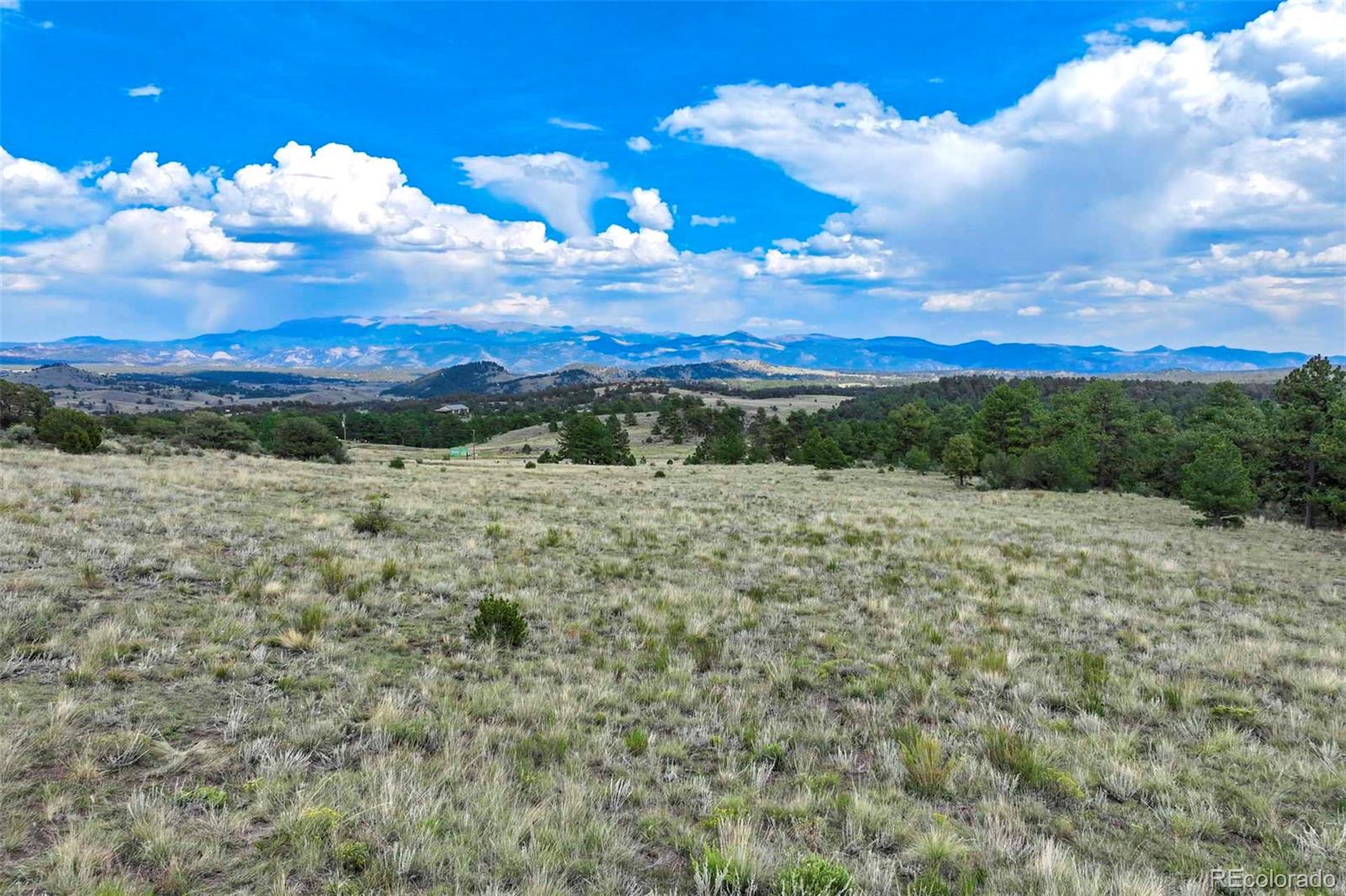 0 Witcher Mountain Road Guffey, CO 80820 - Photo 21 of 50