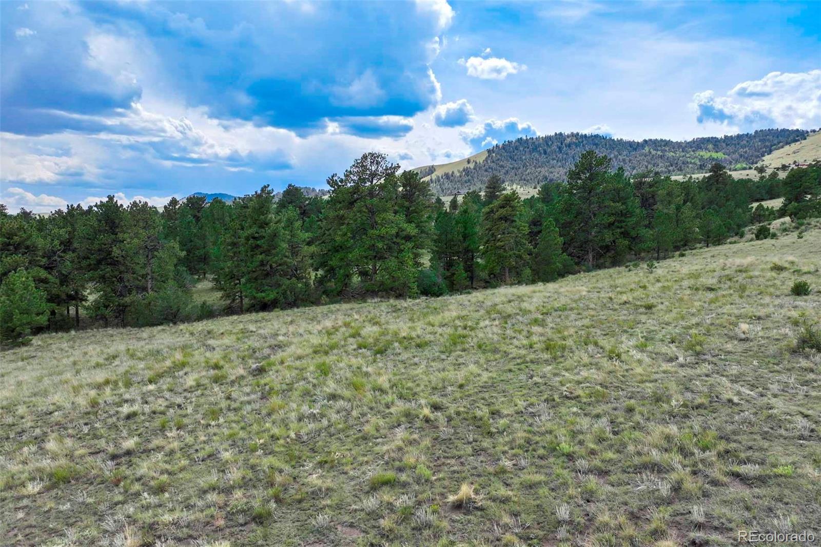 0 Witcher Mountain Road Guffey, CO 80820 - Photo 22 of 50