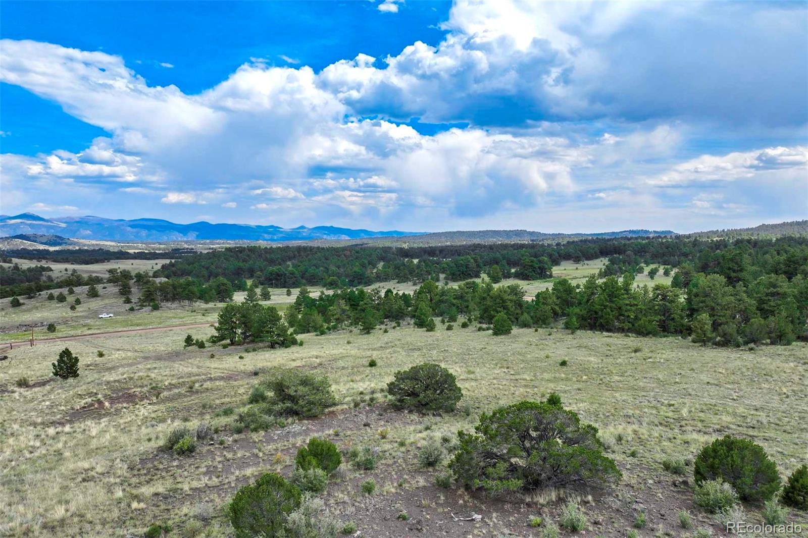 0 Witcher Mountain Road Guffey, CO 80820 - Photo 24 of 50