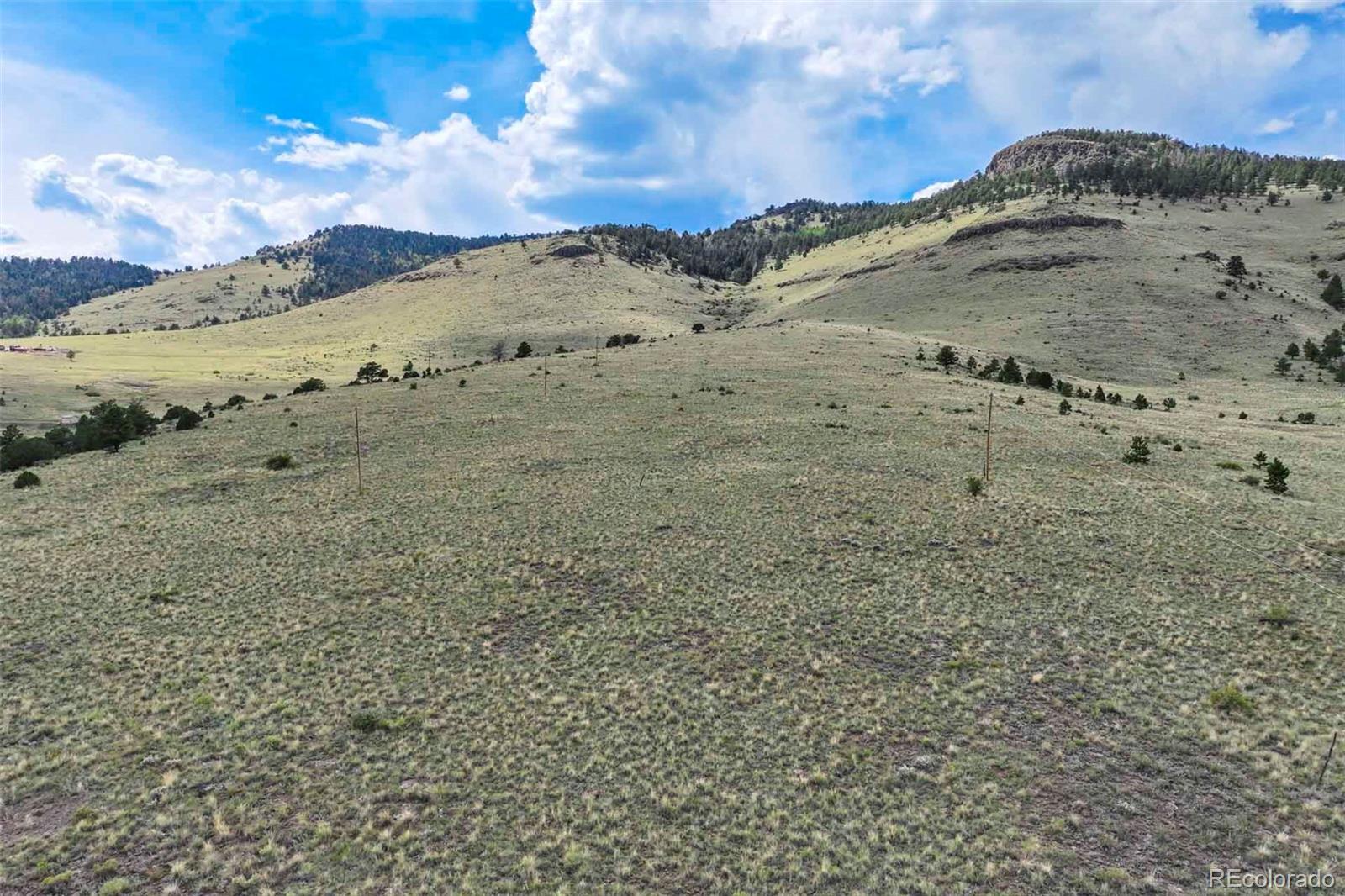 0 Witcher Mountain Road Guffey, CO 80820 - Photo 25 of 50