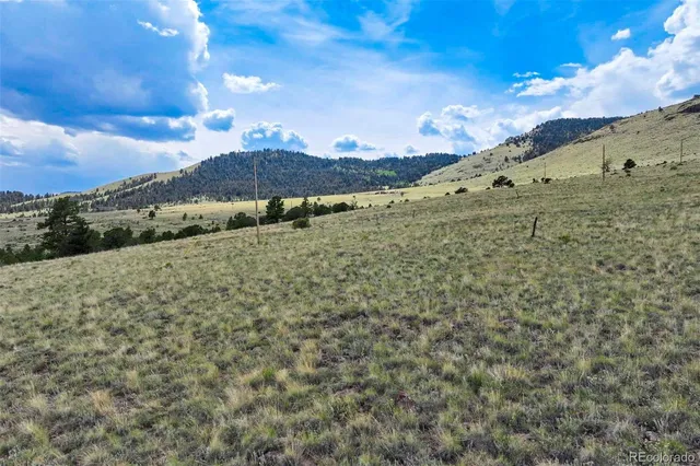 a view of a garden with an outdoor space