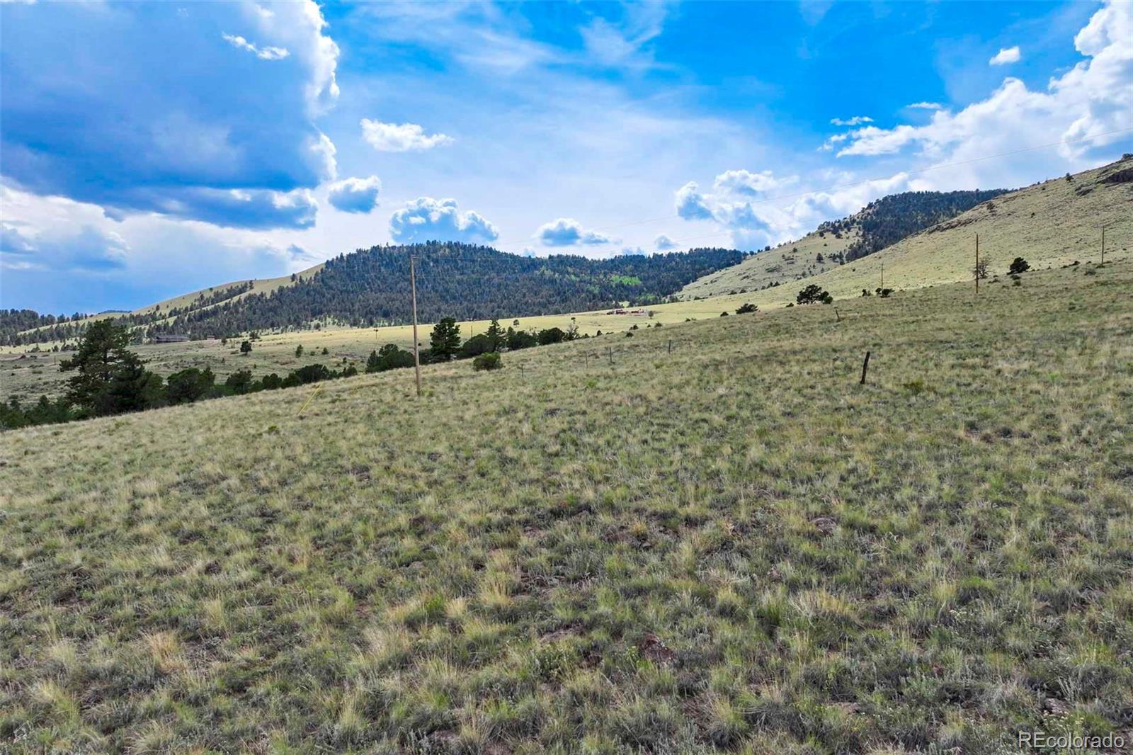 0 Witcher Mountain Road Guffey, CO 80820 - Photo 26 of 50