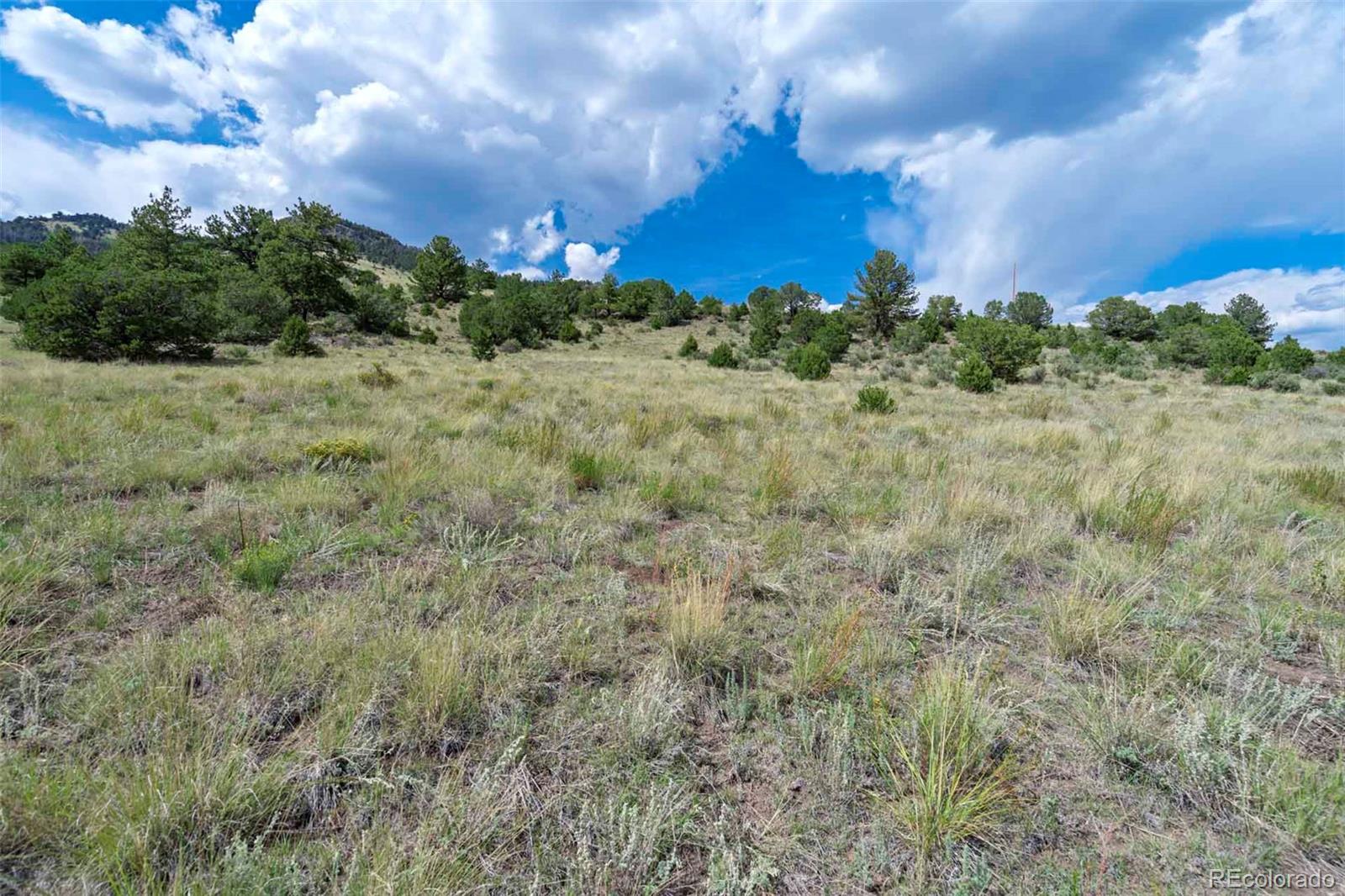 0 Witcher Mountain Road Guffey, CO 80820 - Photo 3 of 50