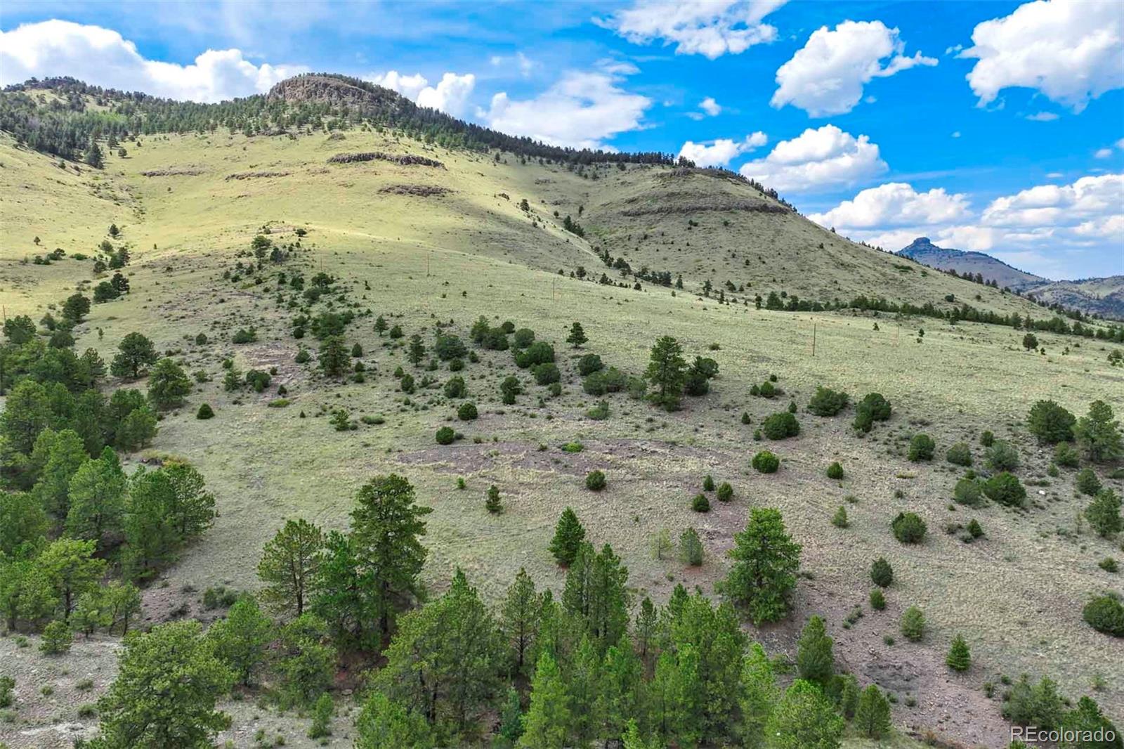 0 Witcher Mountain Road Guffey, CO 80820 - Photo 34 of 50