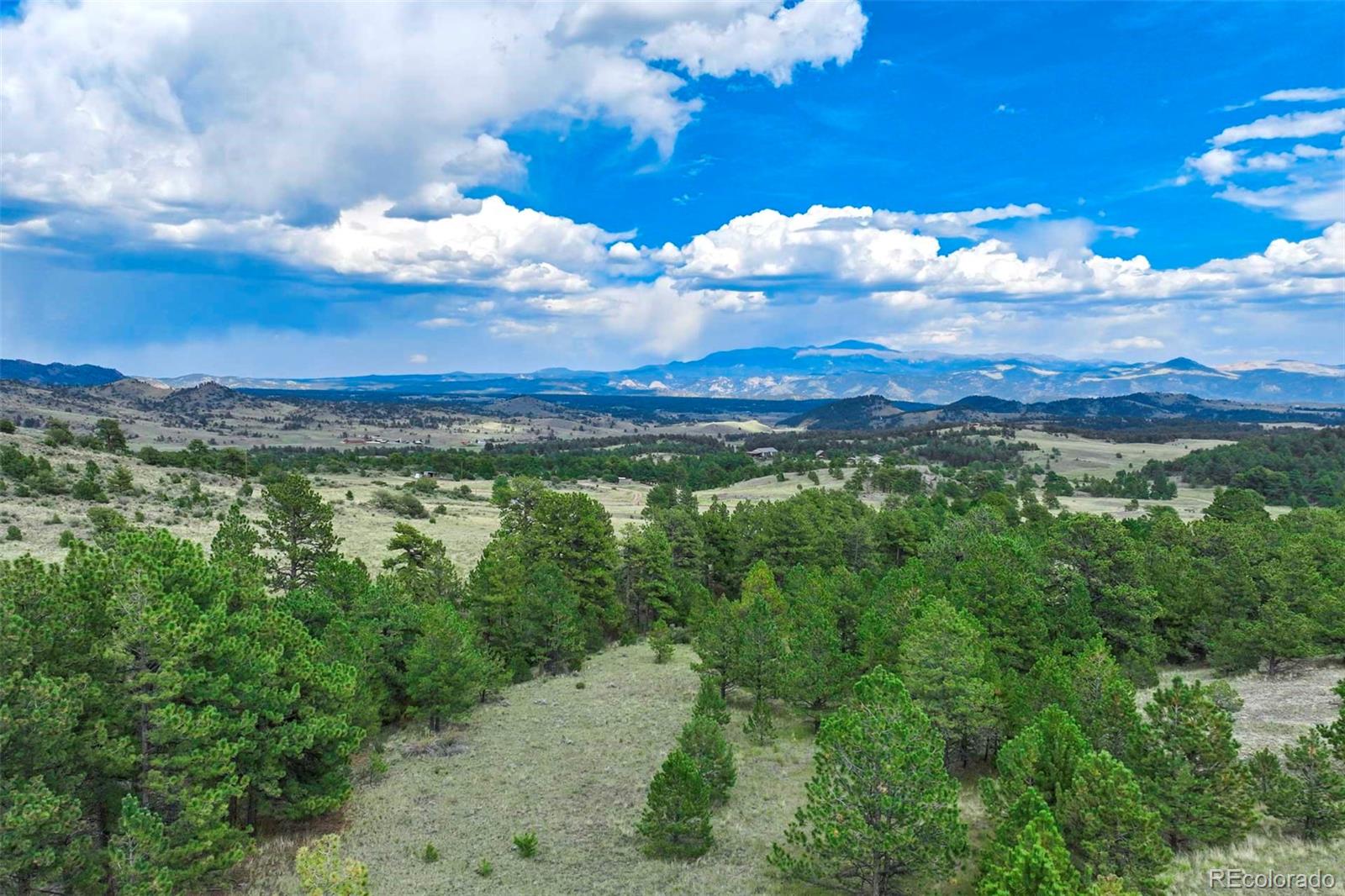 0 Witcher Mountain Road Guffey, CO 80820 - Photo 35 of 50