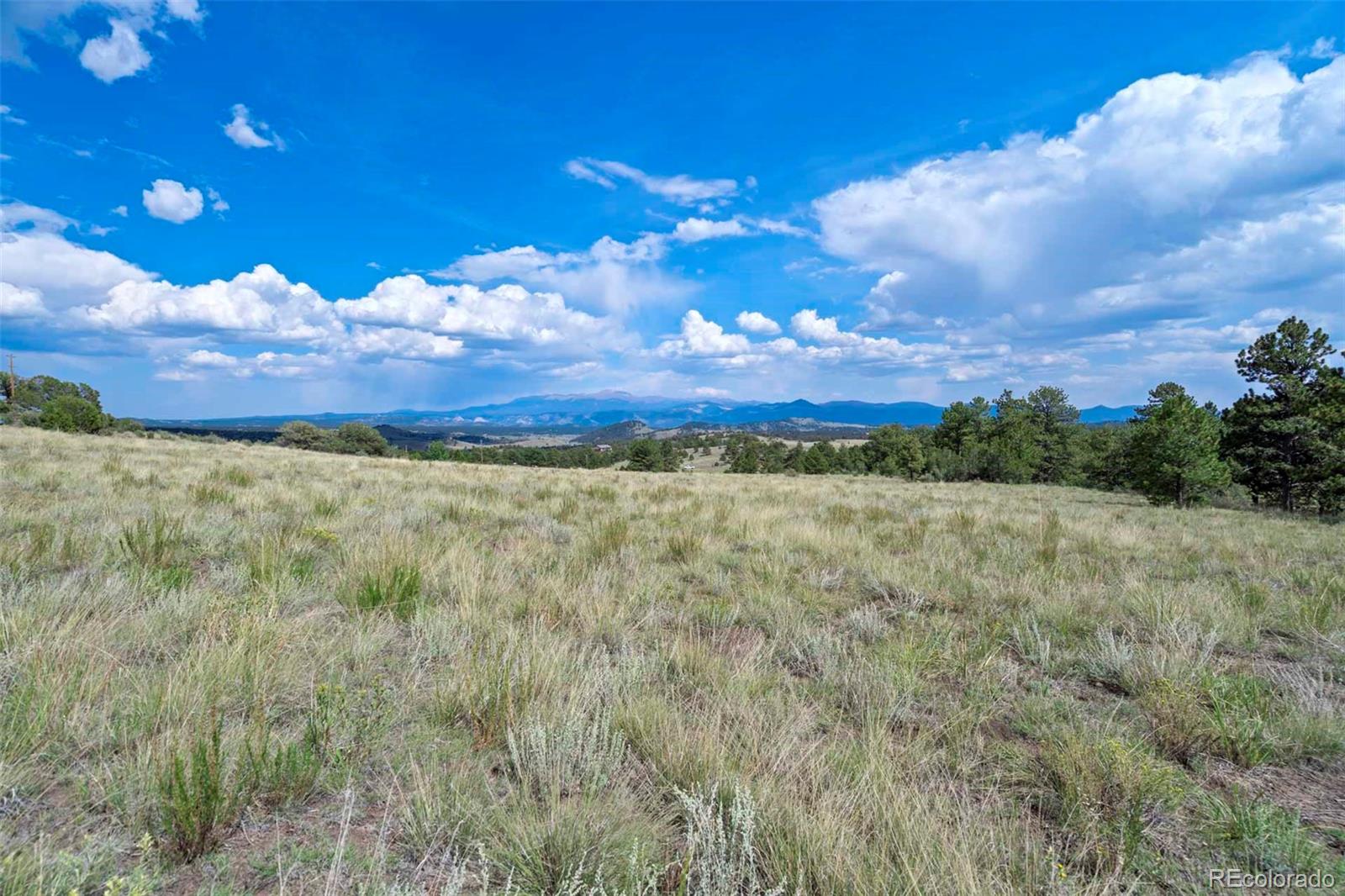 0 Witcher Mountain Road Guffey, CO 80820 - Photo 4 of 50